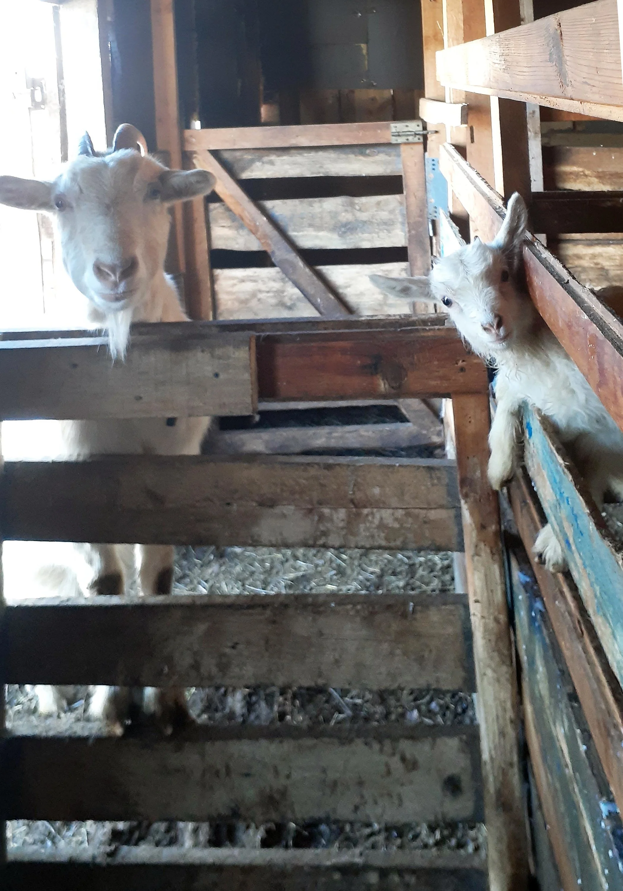 20200319_135929 copy.webp