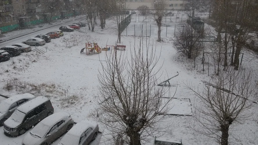 20200424_085931 500.webp