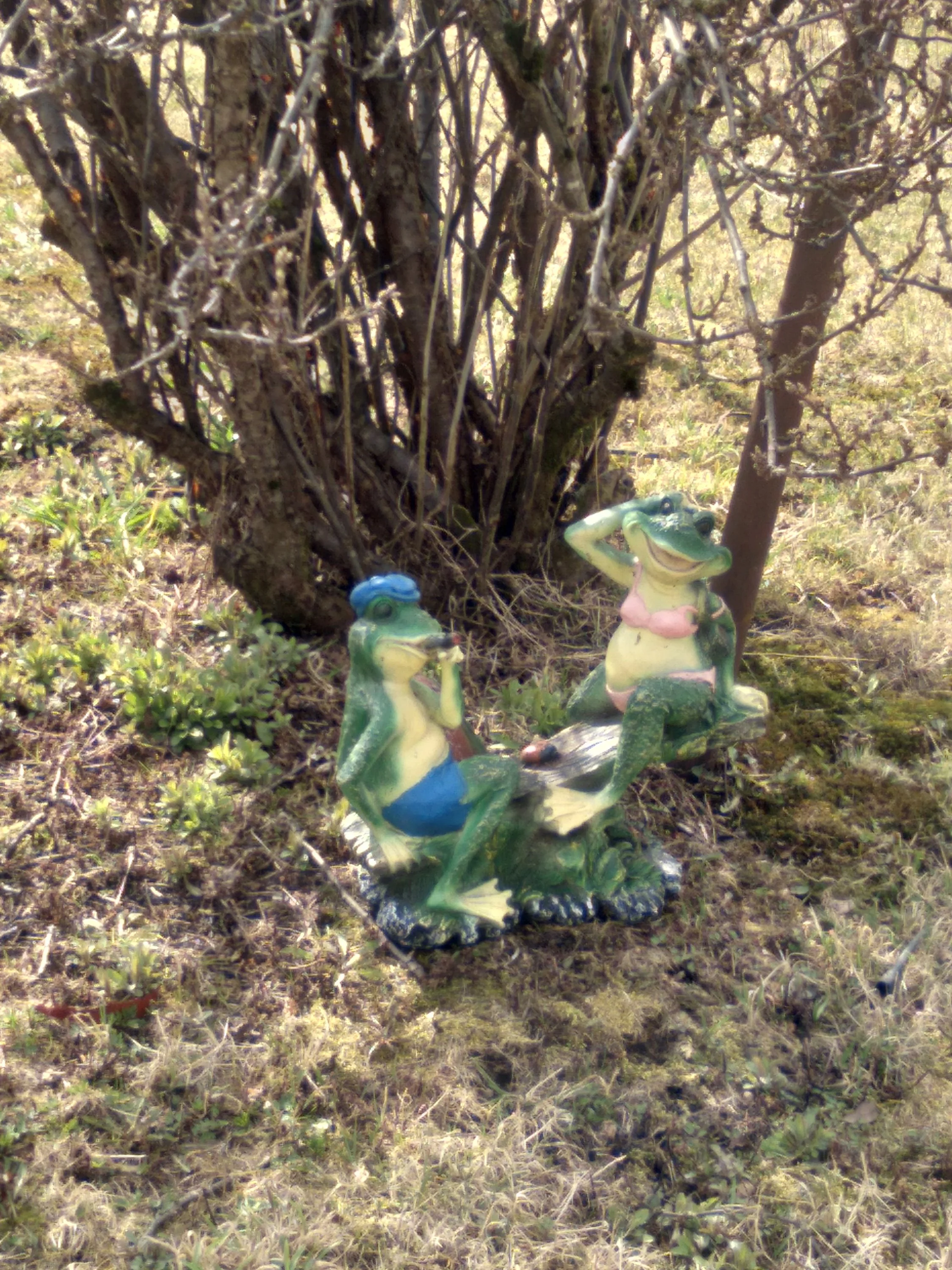 20200425_133328 - Копия.jpg