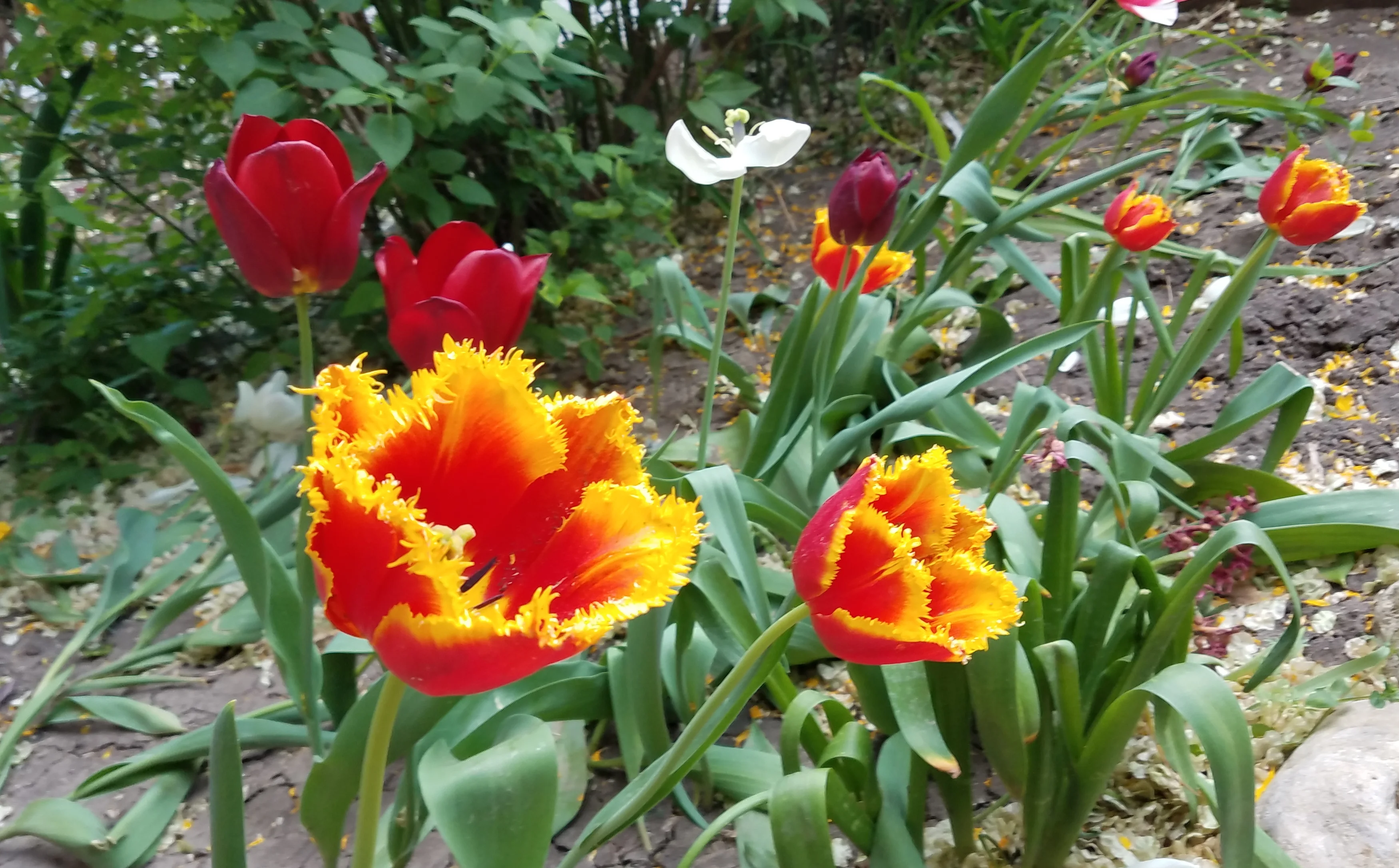 20200429_140955 - копия.webp