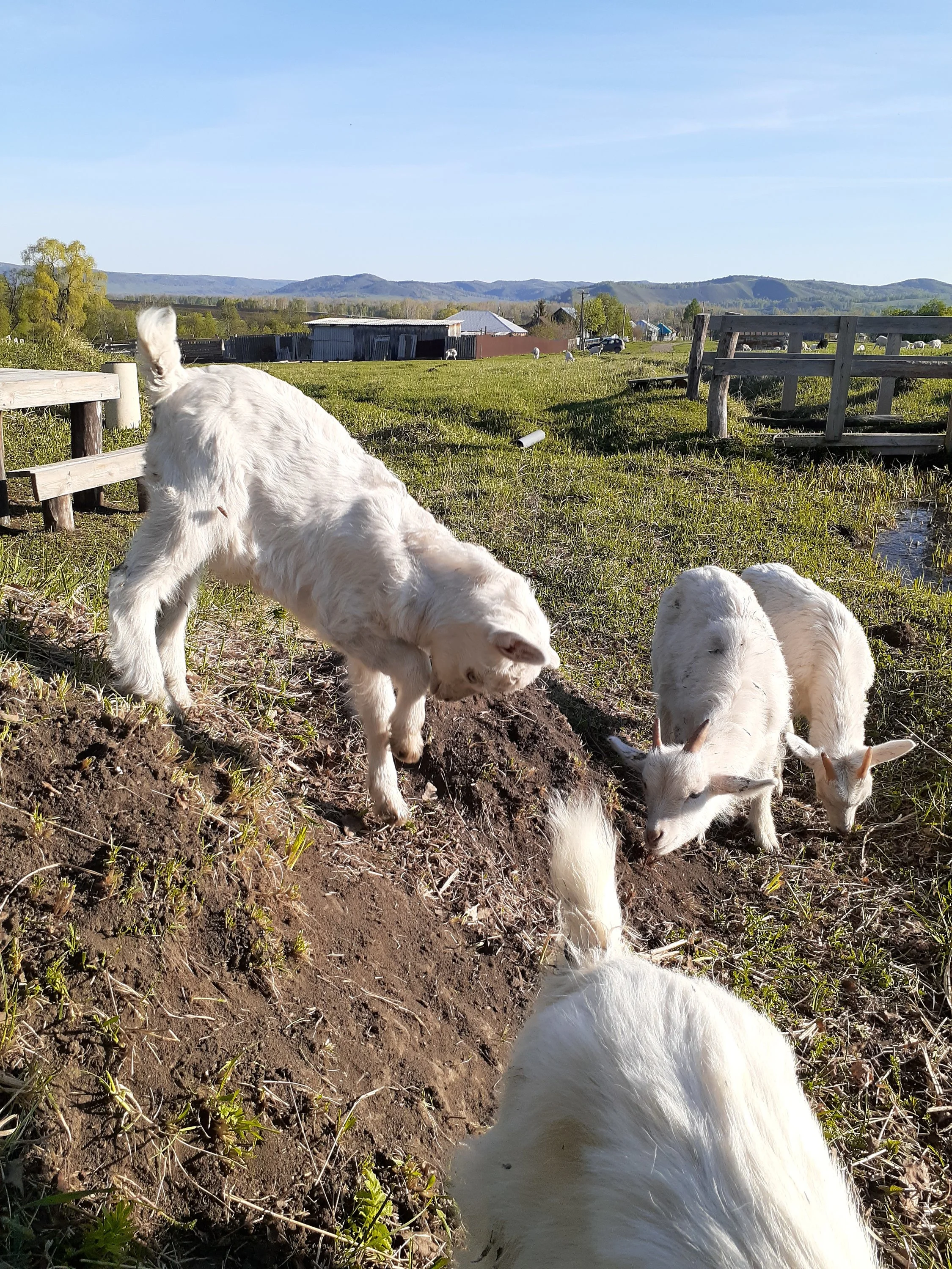 20200507_074833 (1).webp