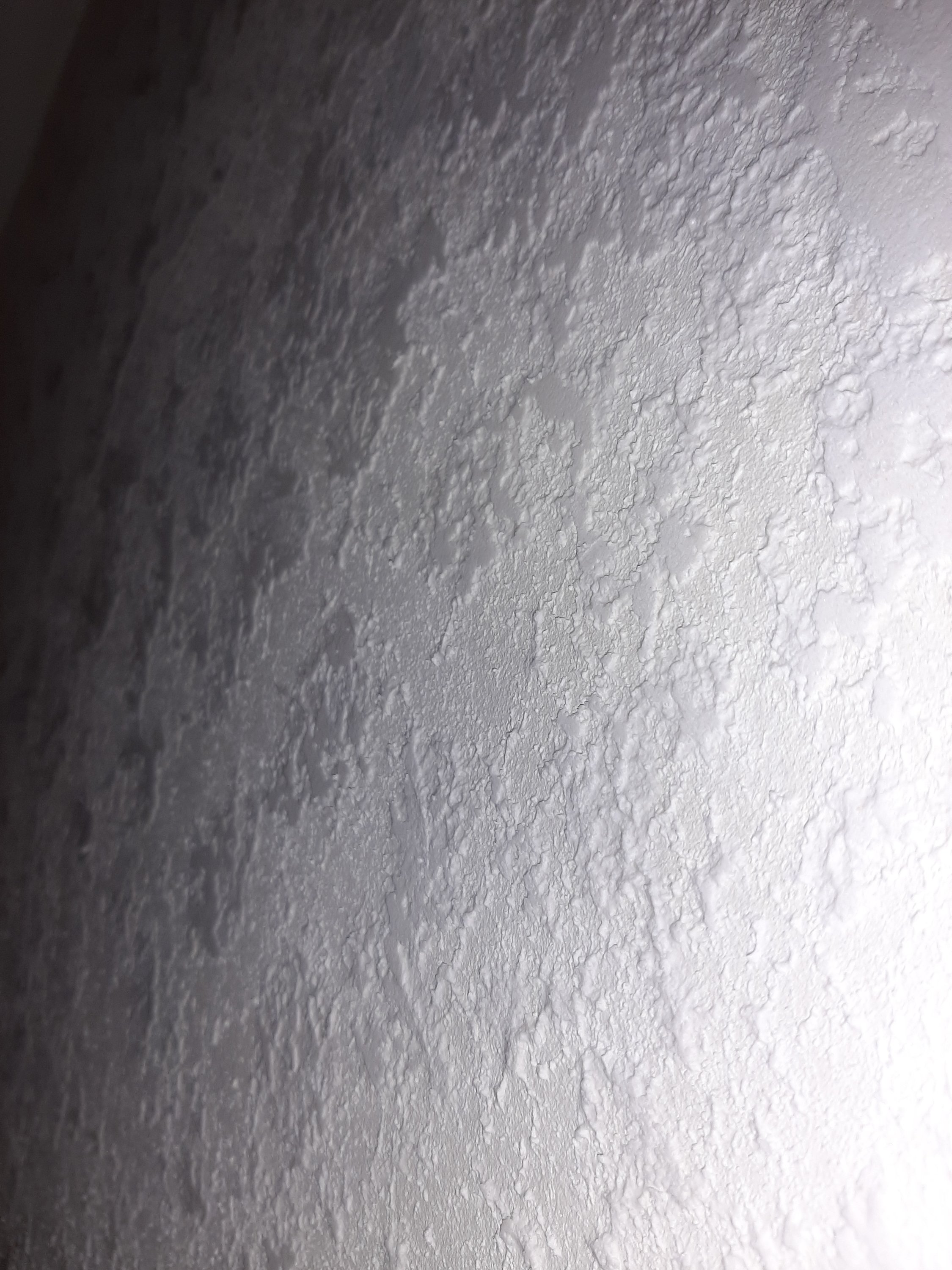 20200805_145015.jpg