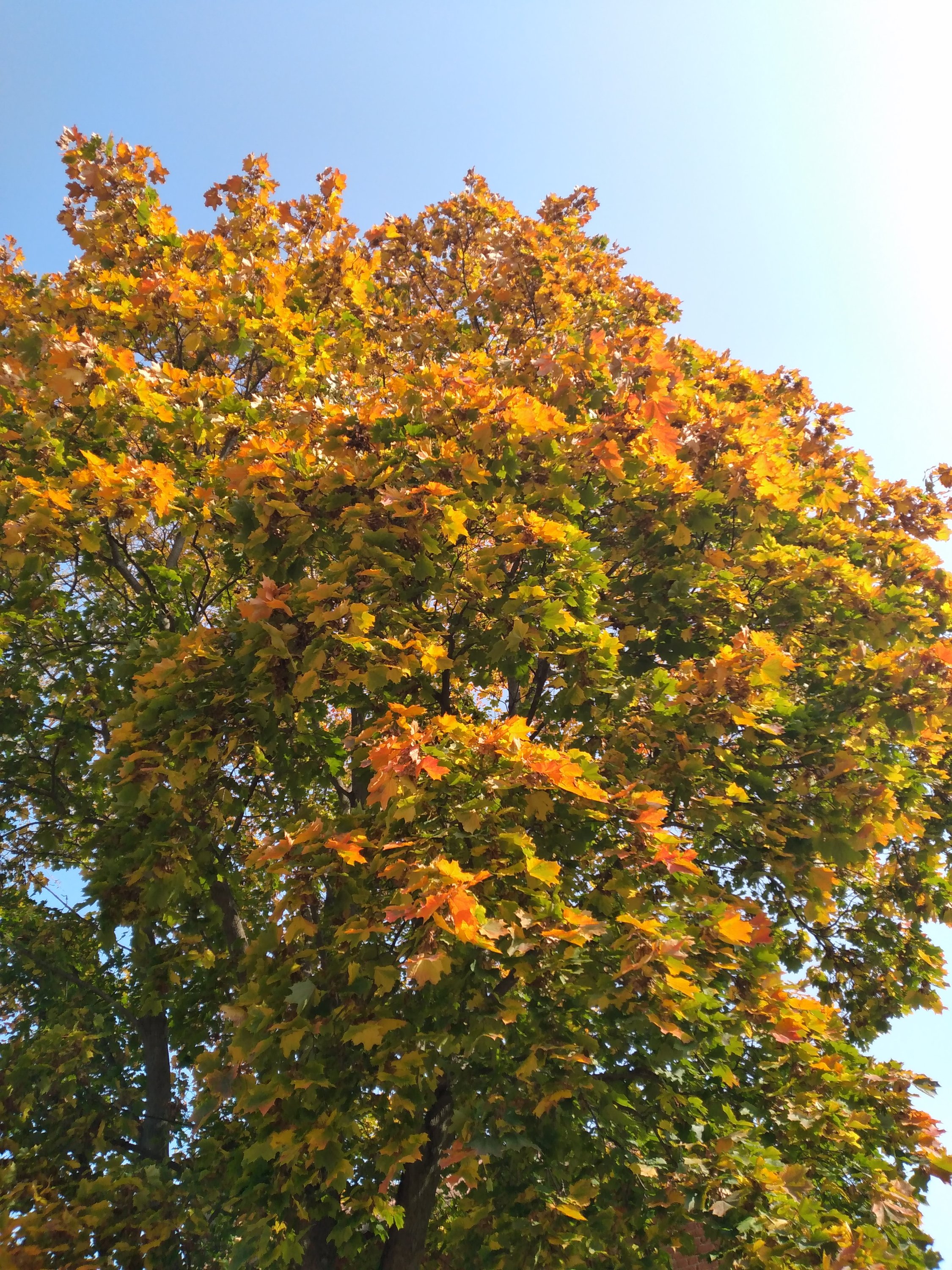 20200926_124530.jpg