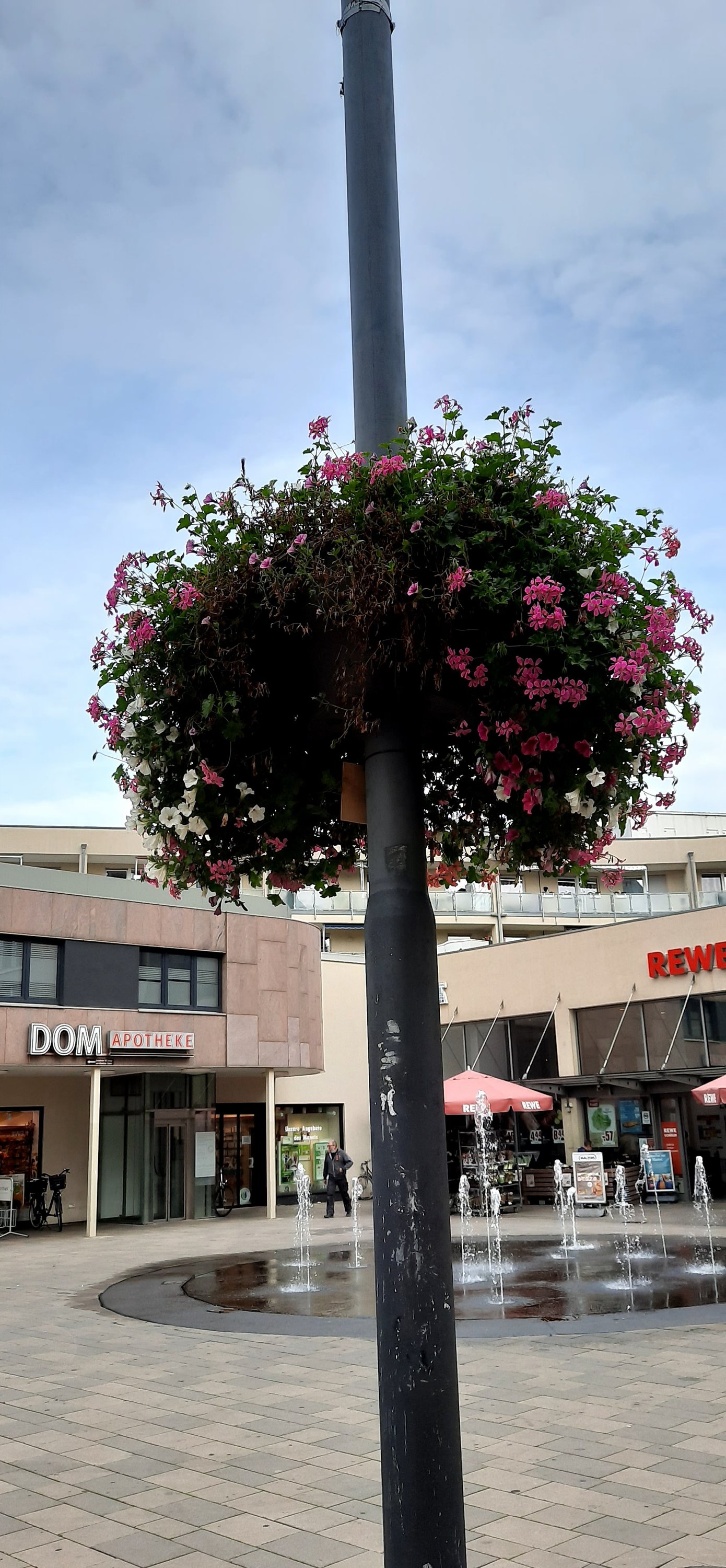 20201002_120916.jpg