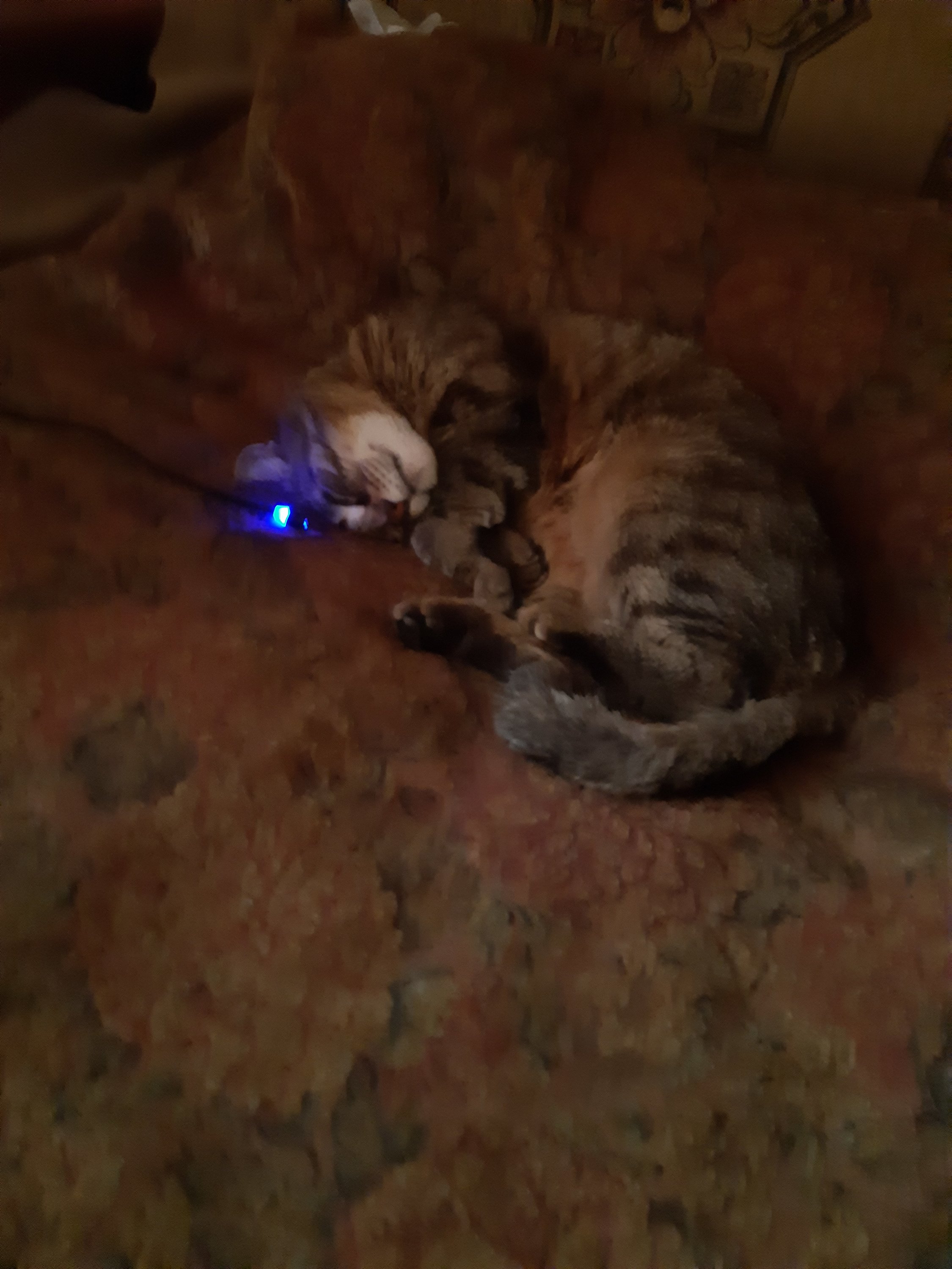 20201009_110302.jpg