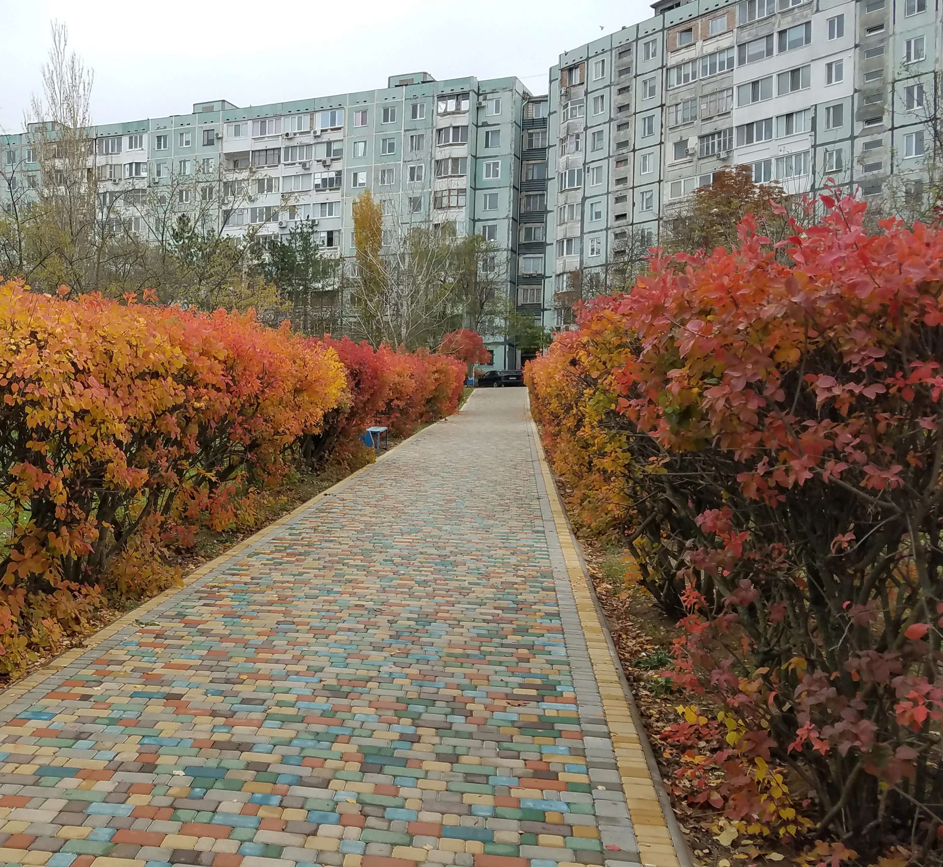 20201120_123356 - копия.webp