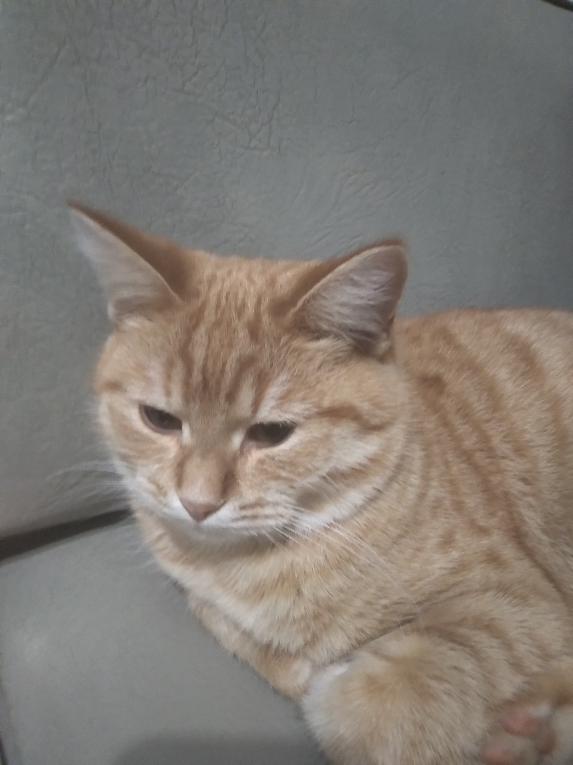 20201223_200451.jpg