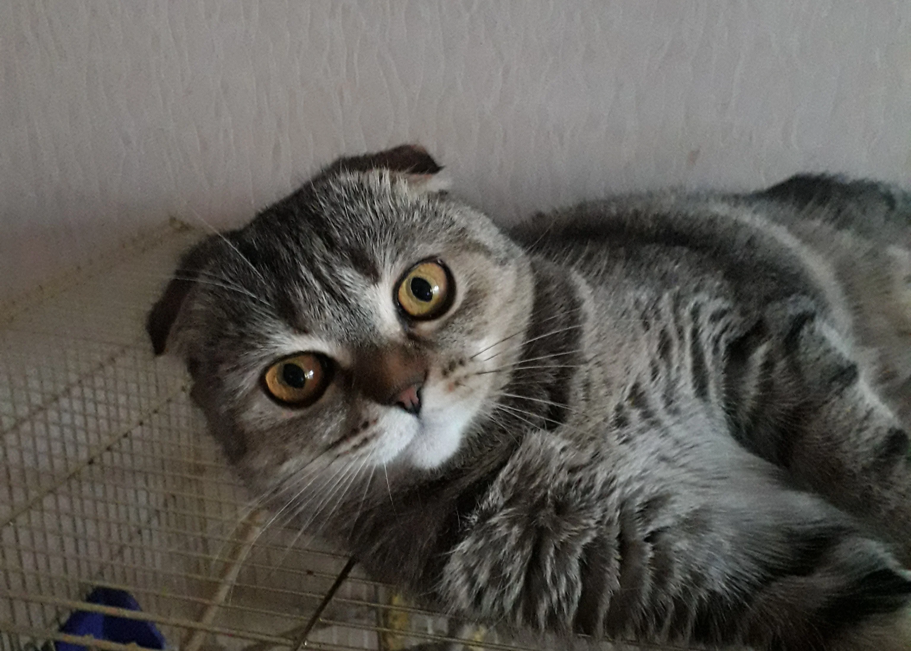 2021-04-17 18-33-29.webp