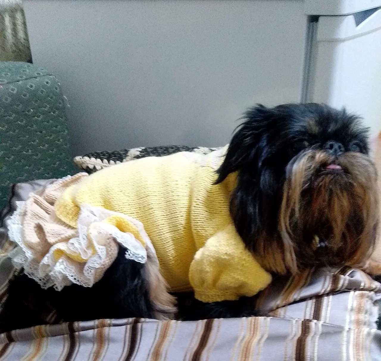 2021-05-05 19-34-15.webp