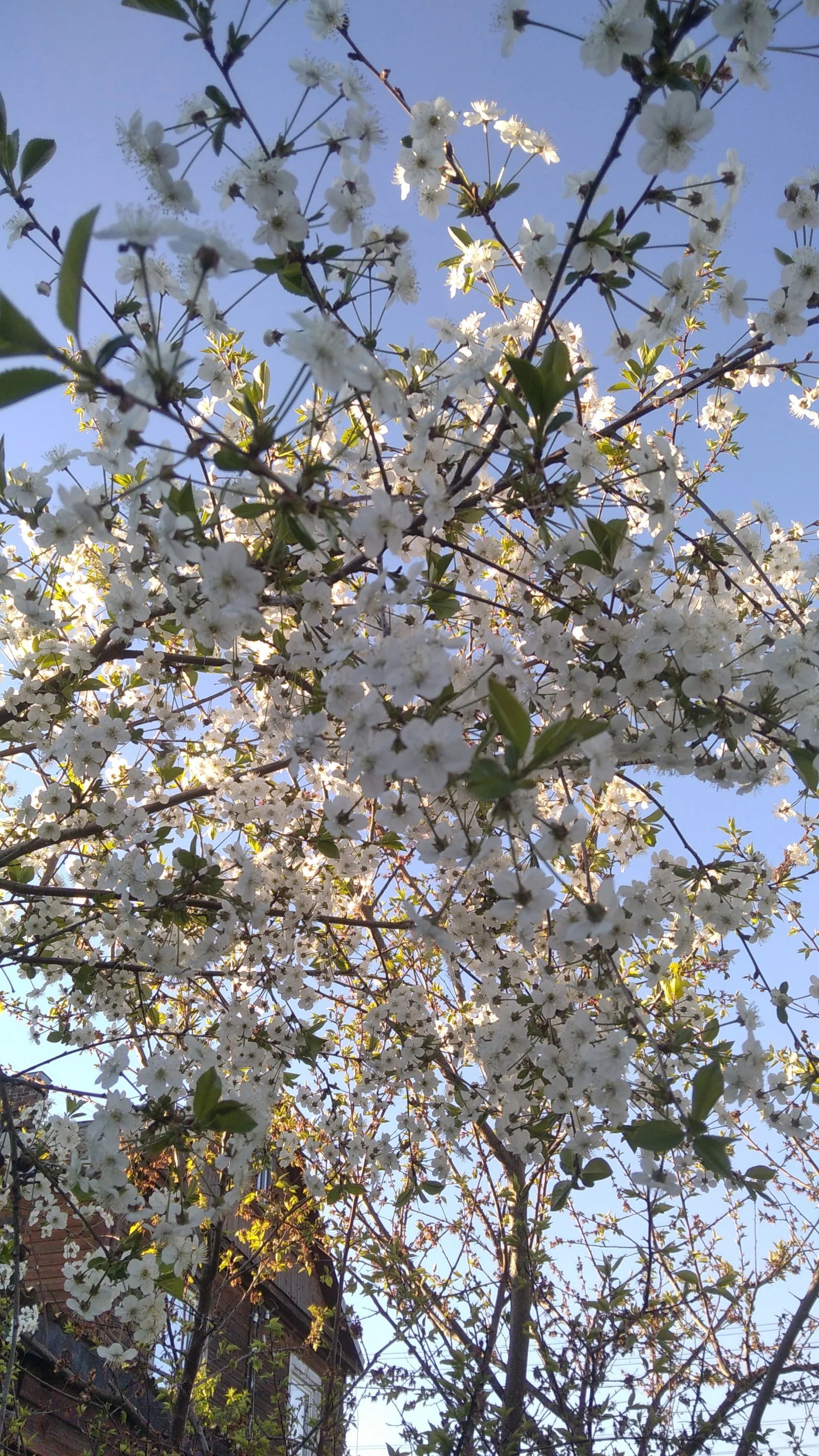 2021-05-12 06-48-05.webp