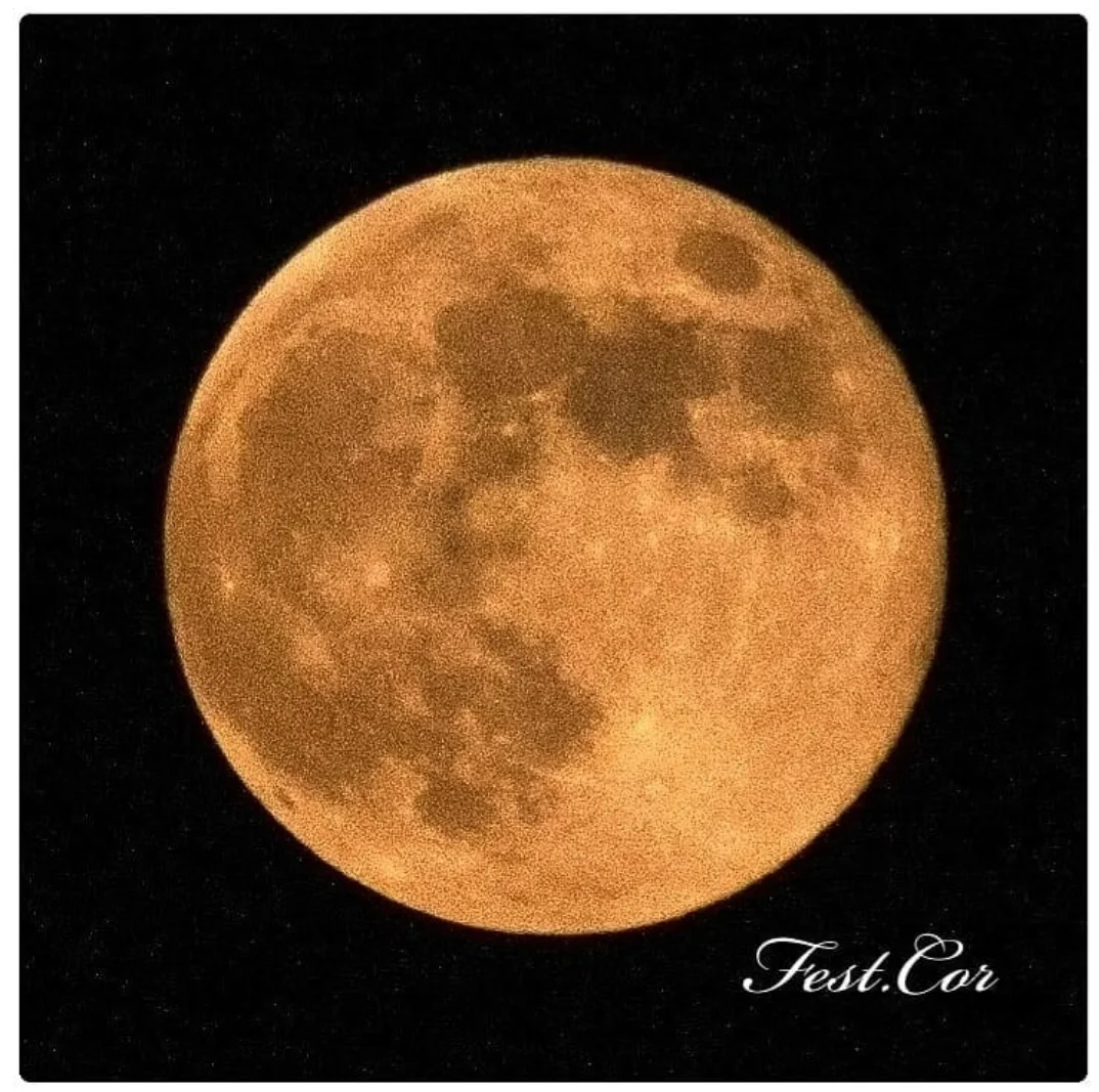 2021-06-15 12-46-59.webp