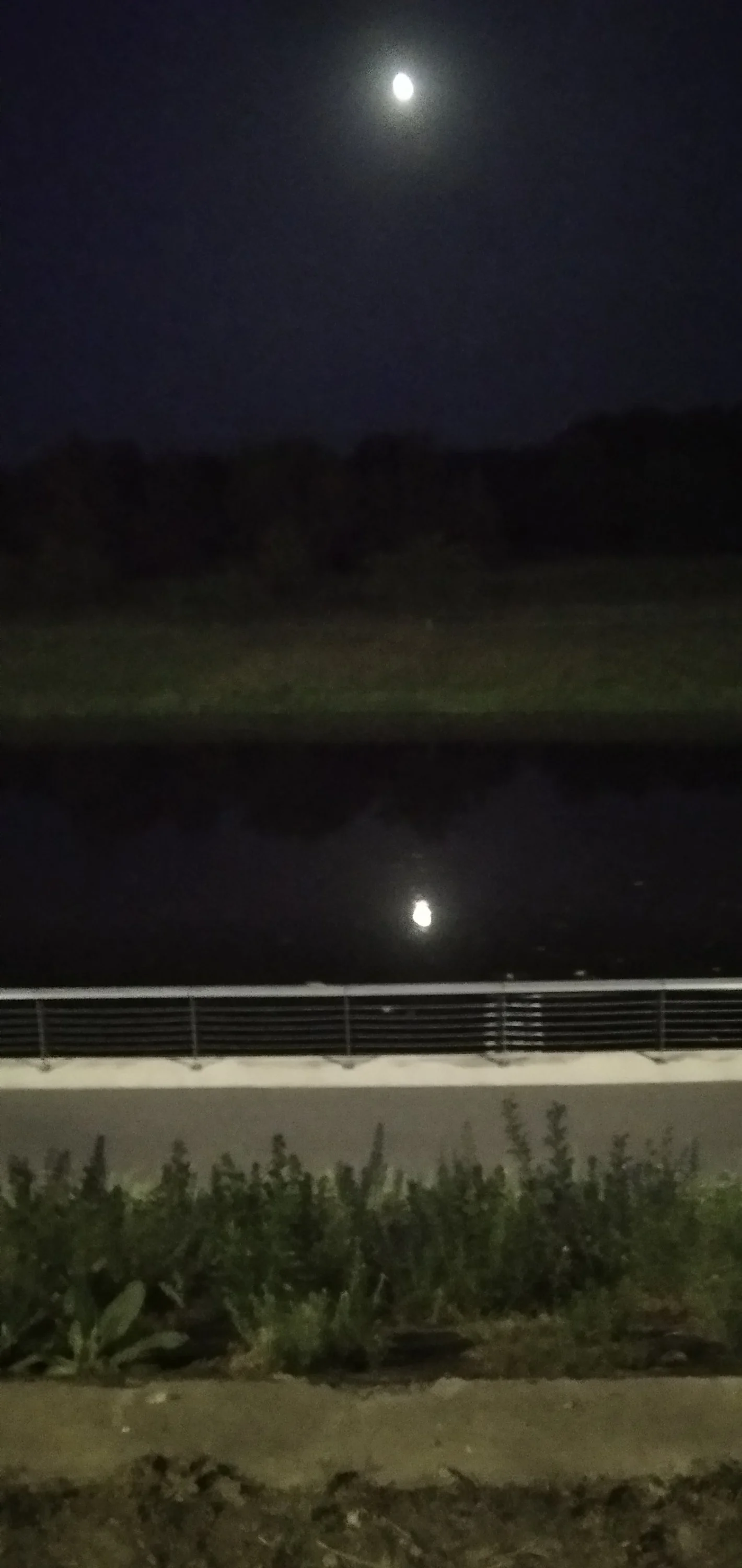 2021-06-21 23-37-52.webp