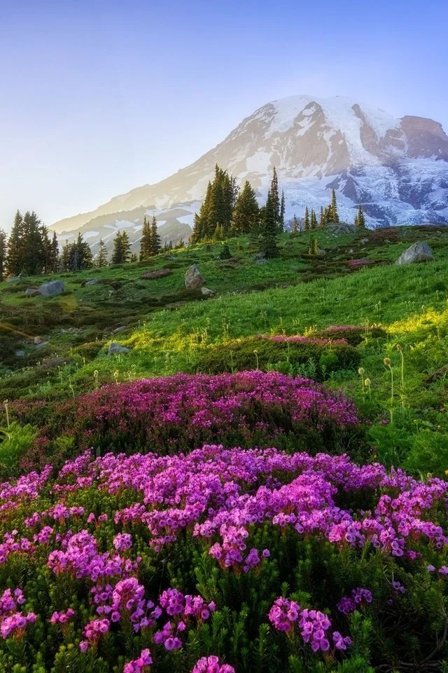 2021-07-07-20-55-48 (1).webp