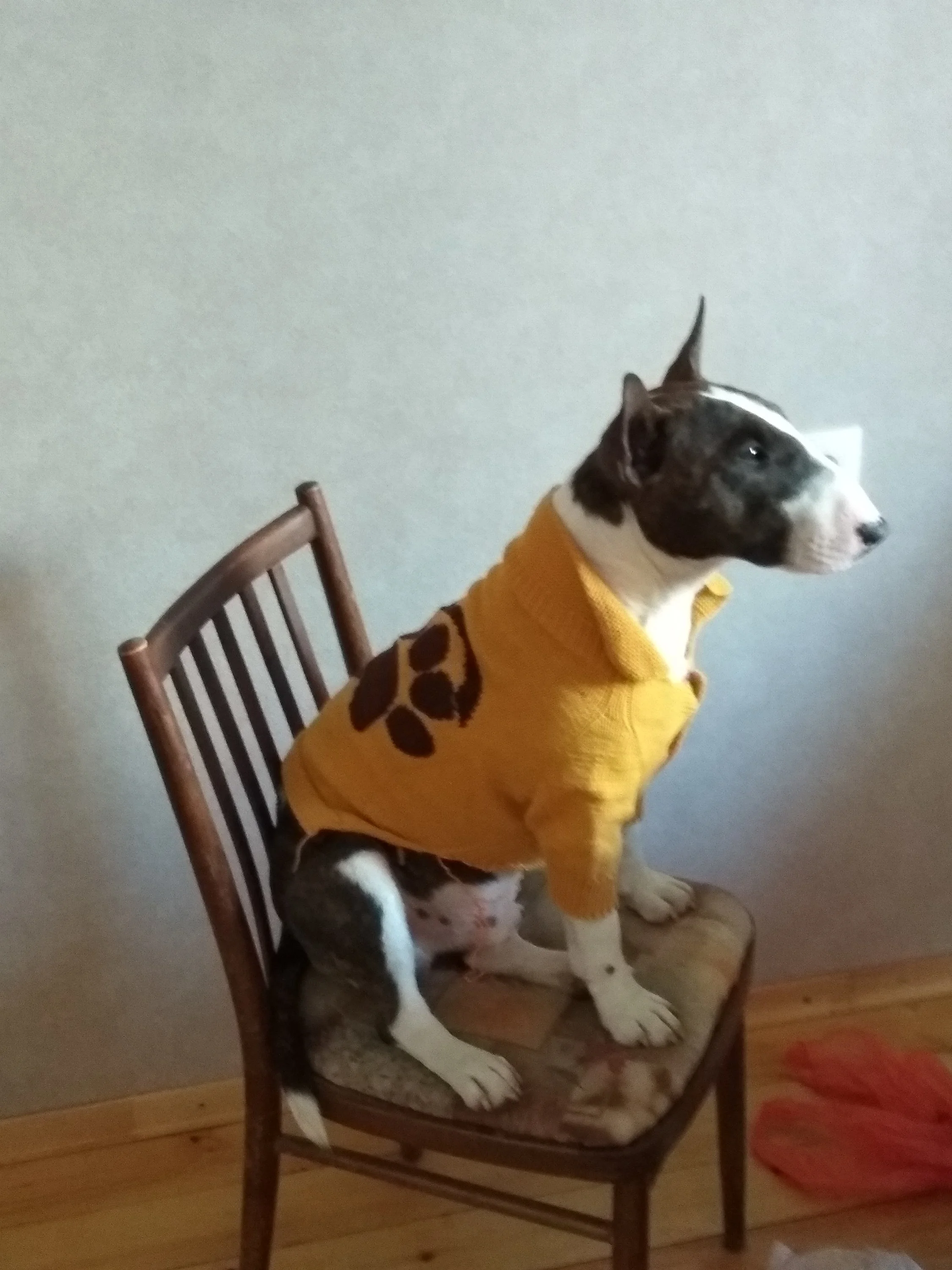 2021-07-21 10-29-18.webp