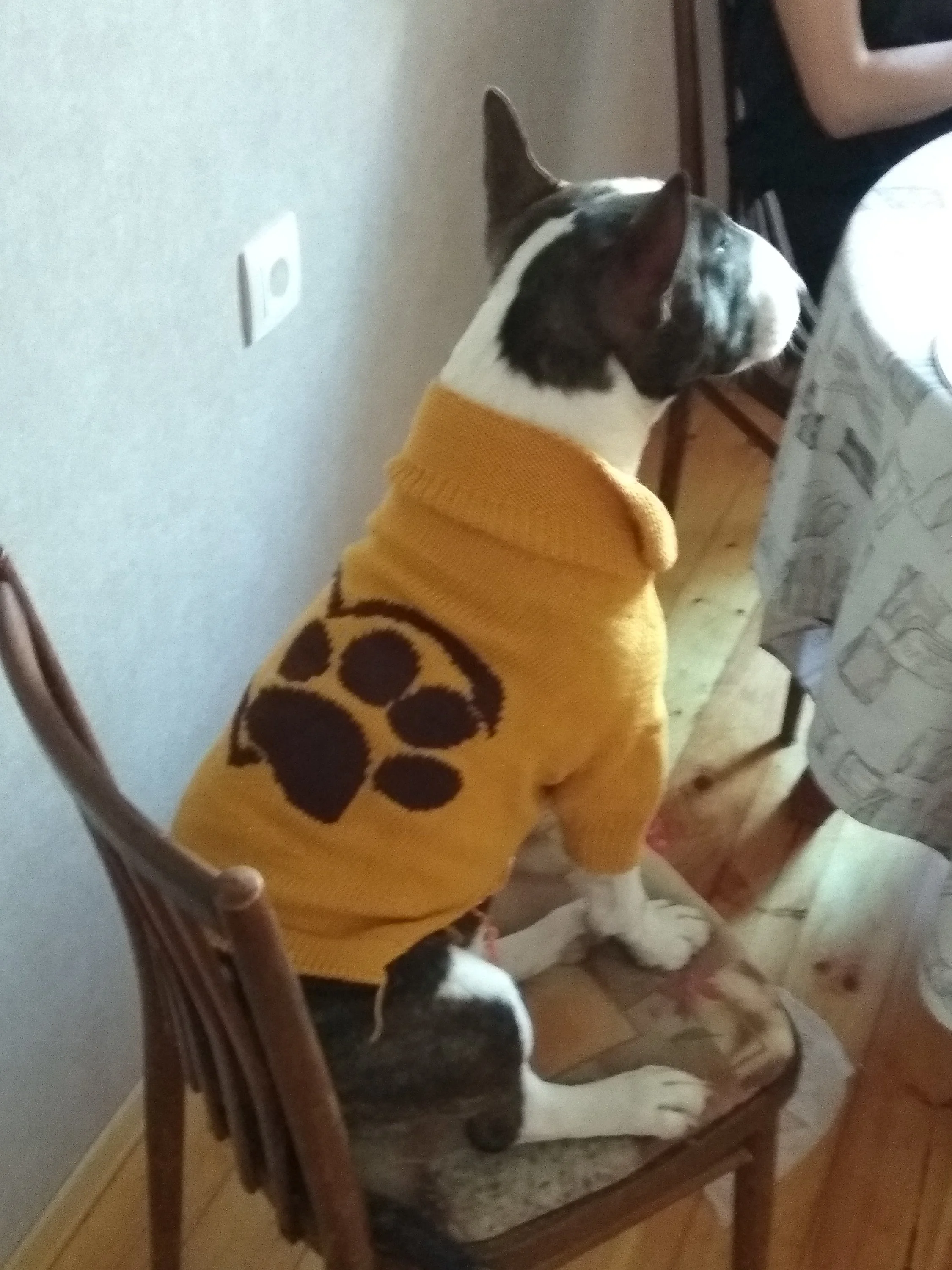 2021-07-21 10-29-27.webp