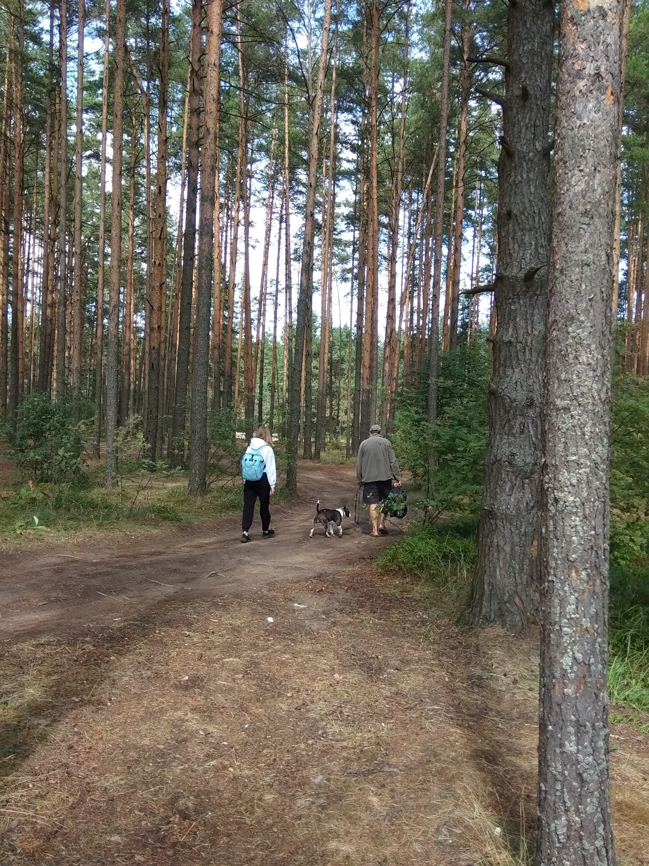 2021-07-23 12-53-01.webp