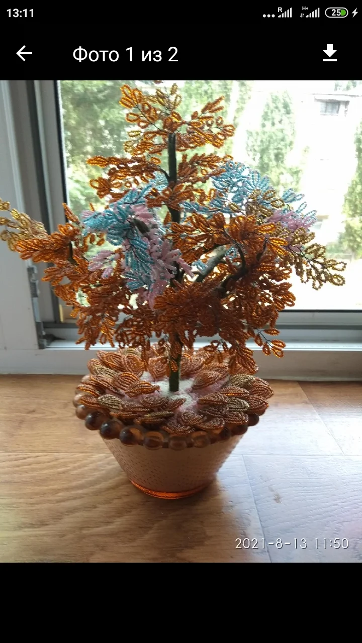 2021-08-13 13-11-24.webp