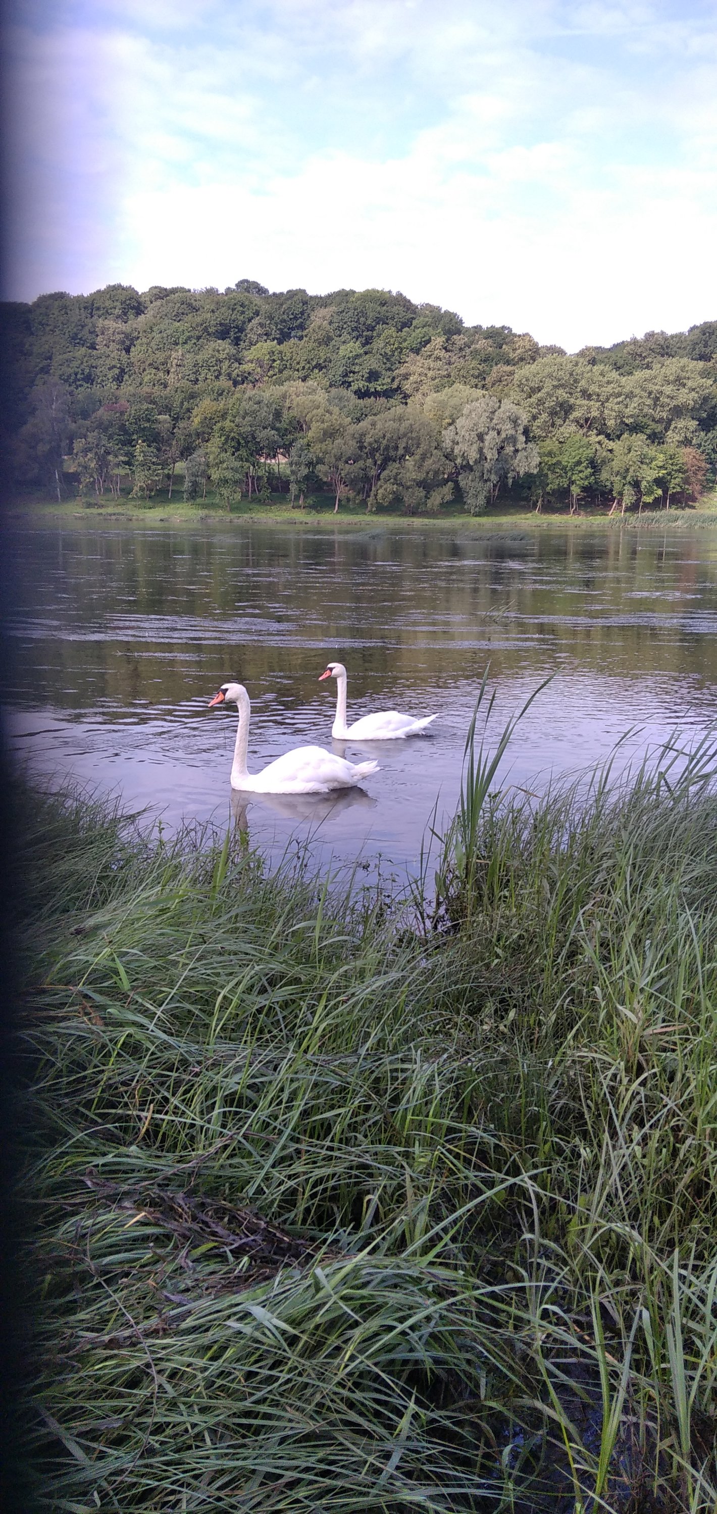 2021-08-20 10-17-08.JPG