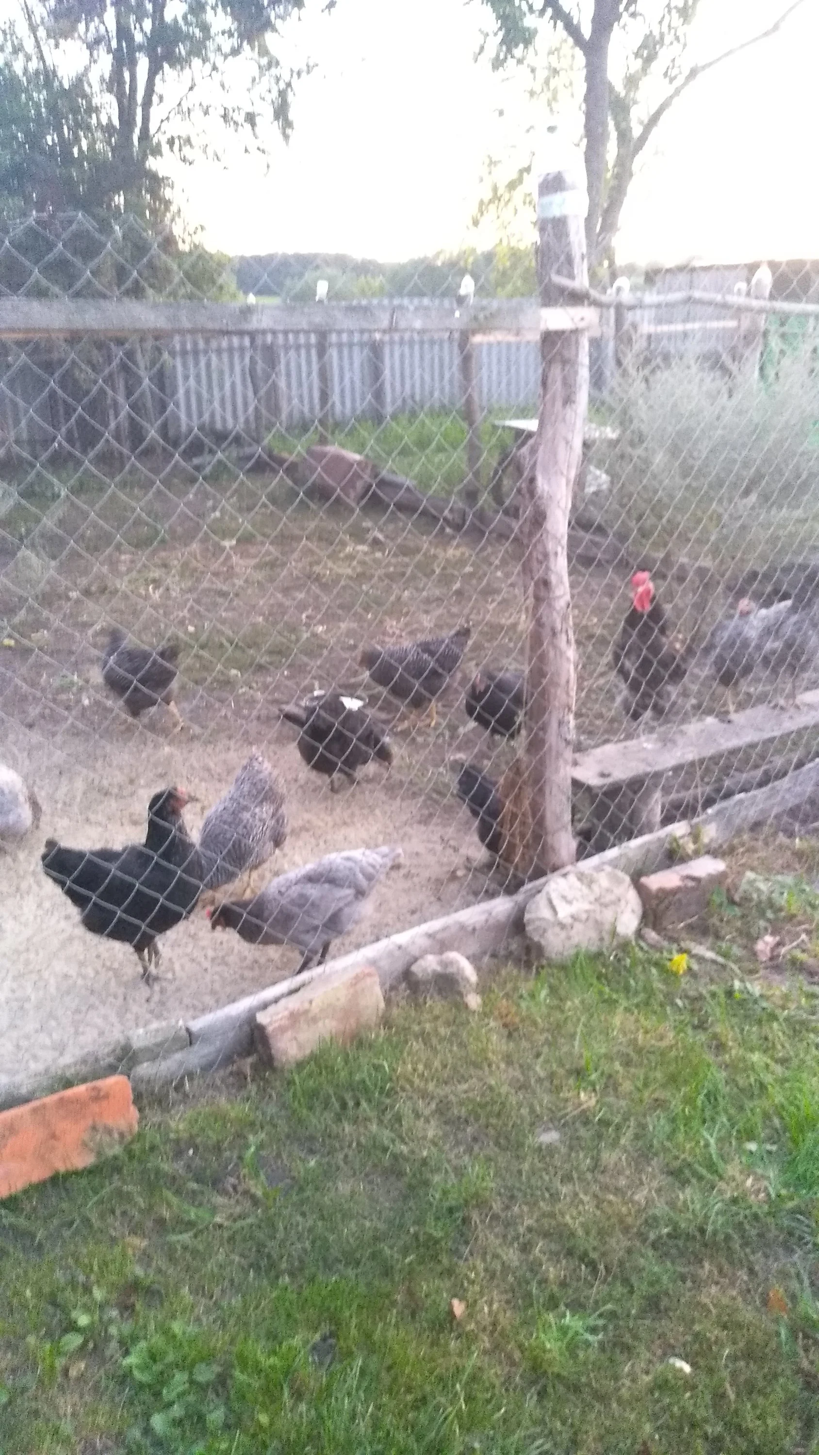 2021-08-22 19-43-26.webp