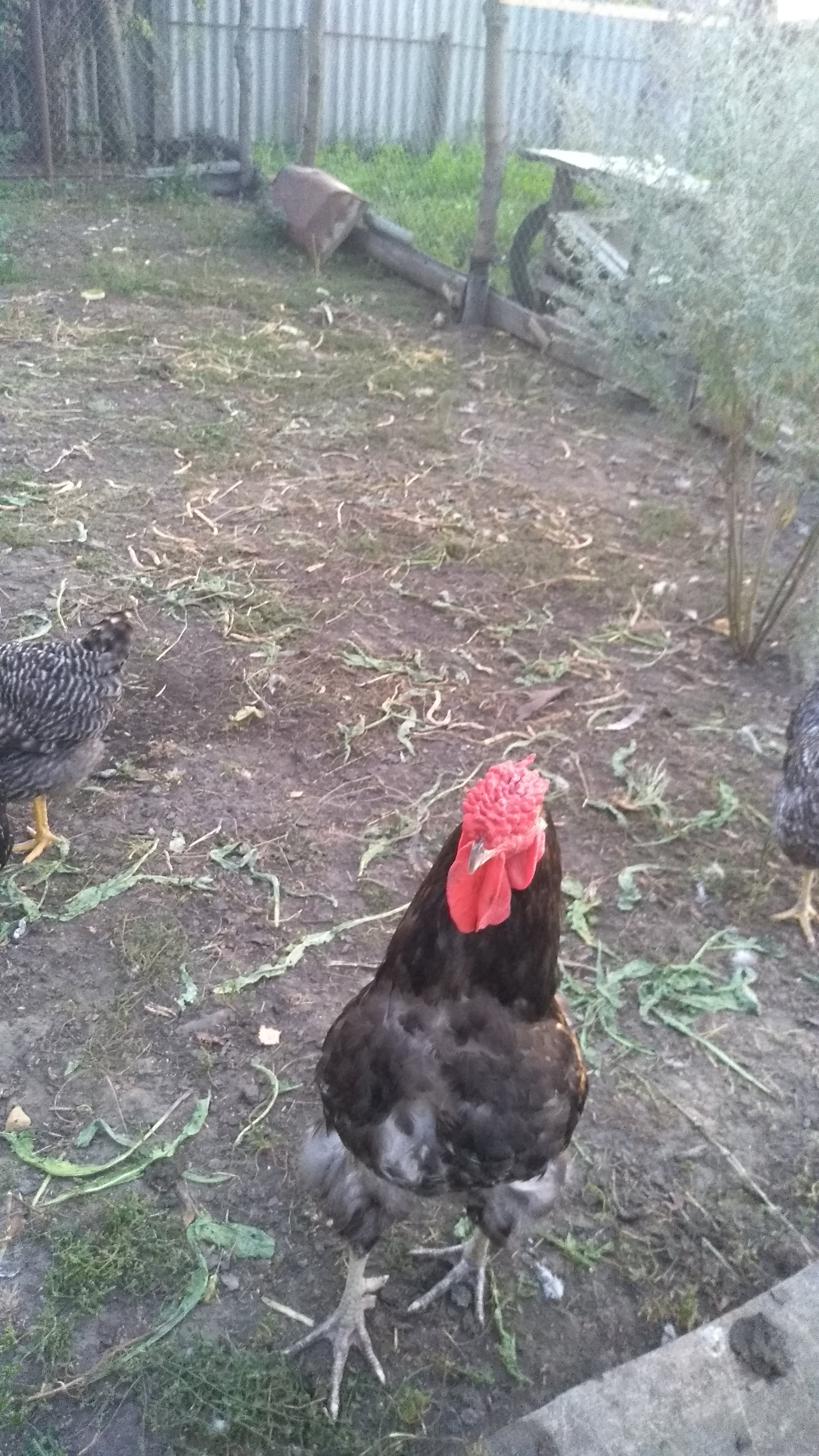 2021-08-22 19-43-44.JPG