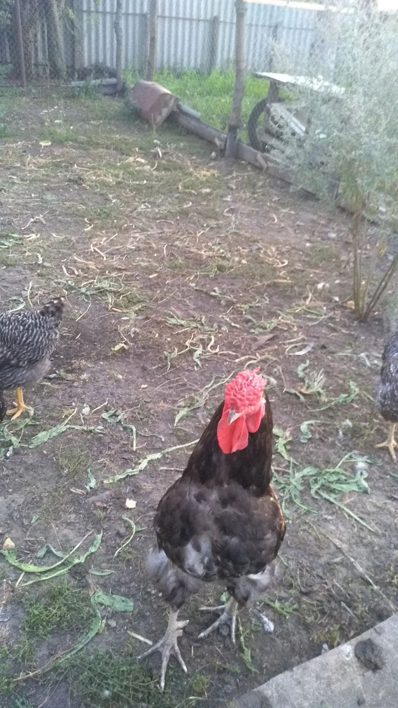 2021-08-22 19-43-44.webp