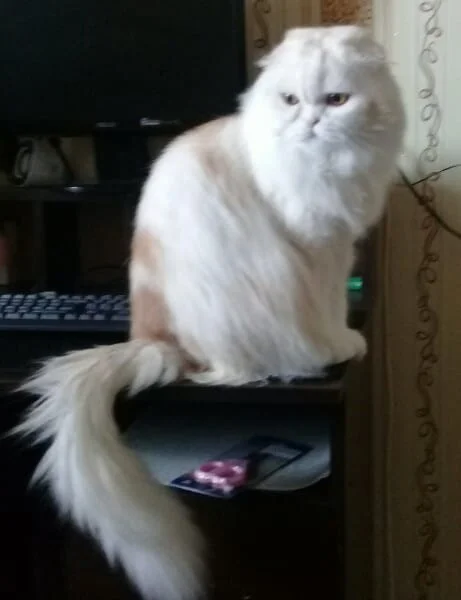 2021-08-29 18-30-44.webp