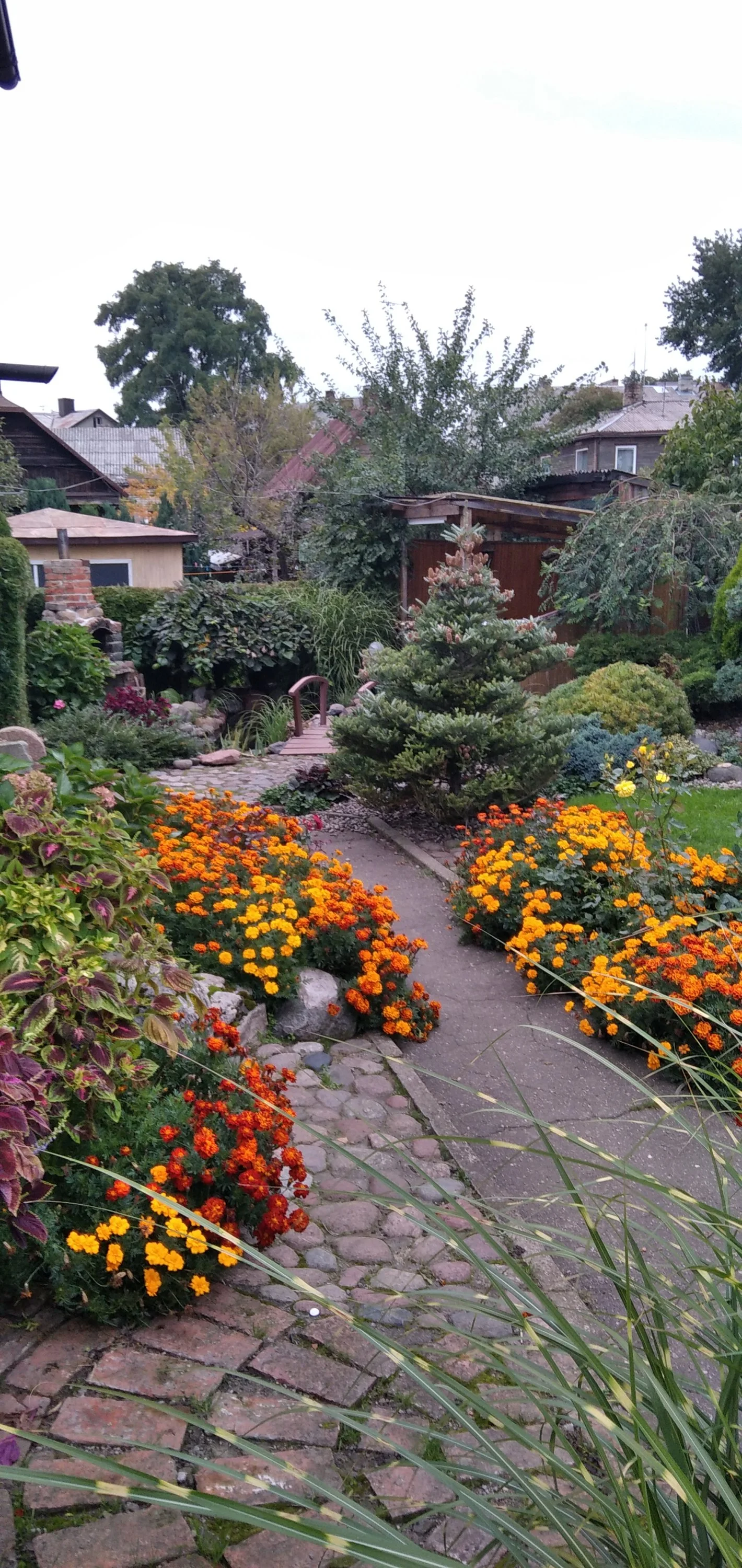 2021-09-19 14-52-42.webp