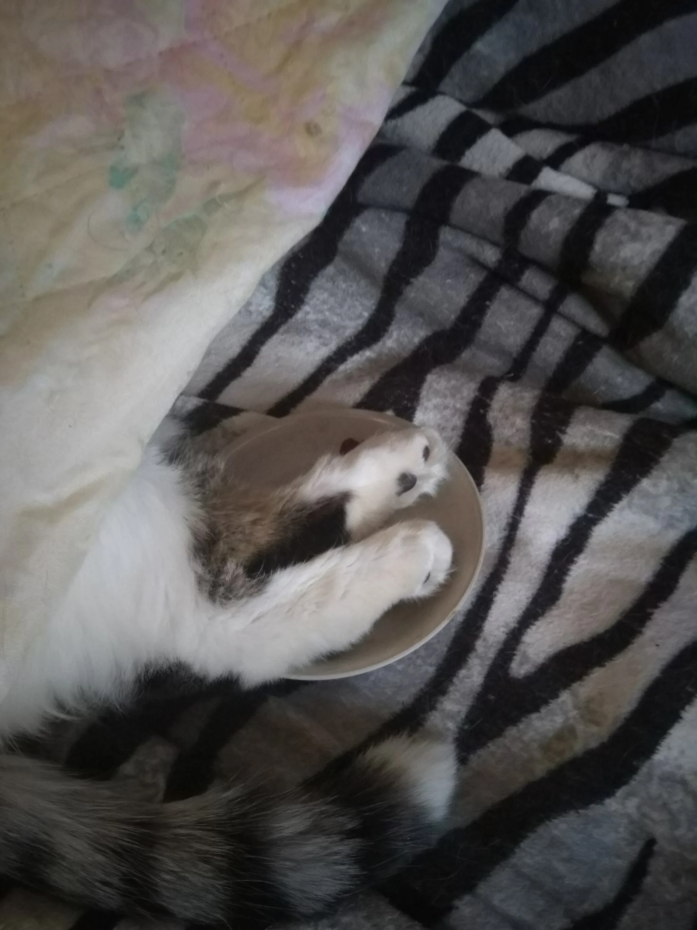 2021-10-21 14-38-56.webp