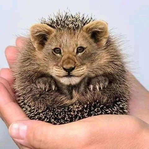 2021-11-28 17.04.15.webp