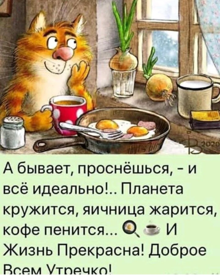 2021-12-04 07-48-06.webp