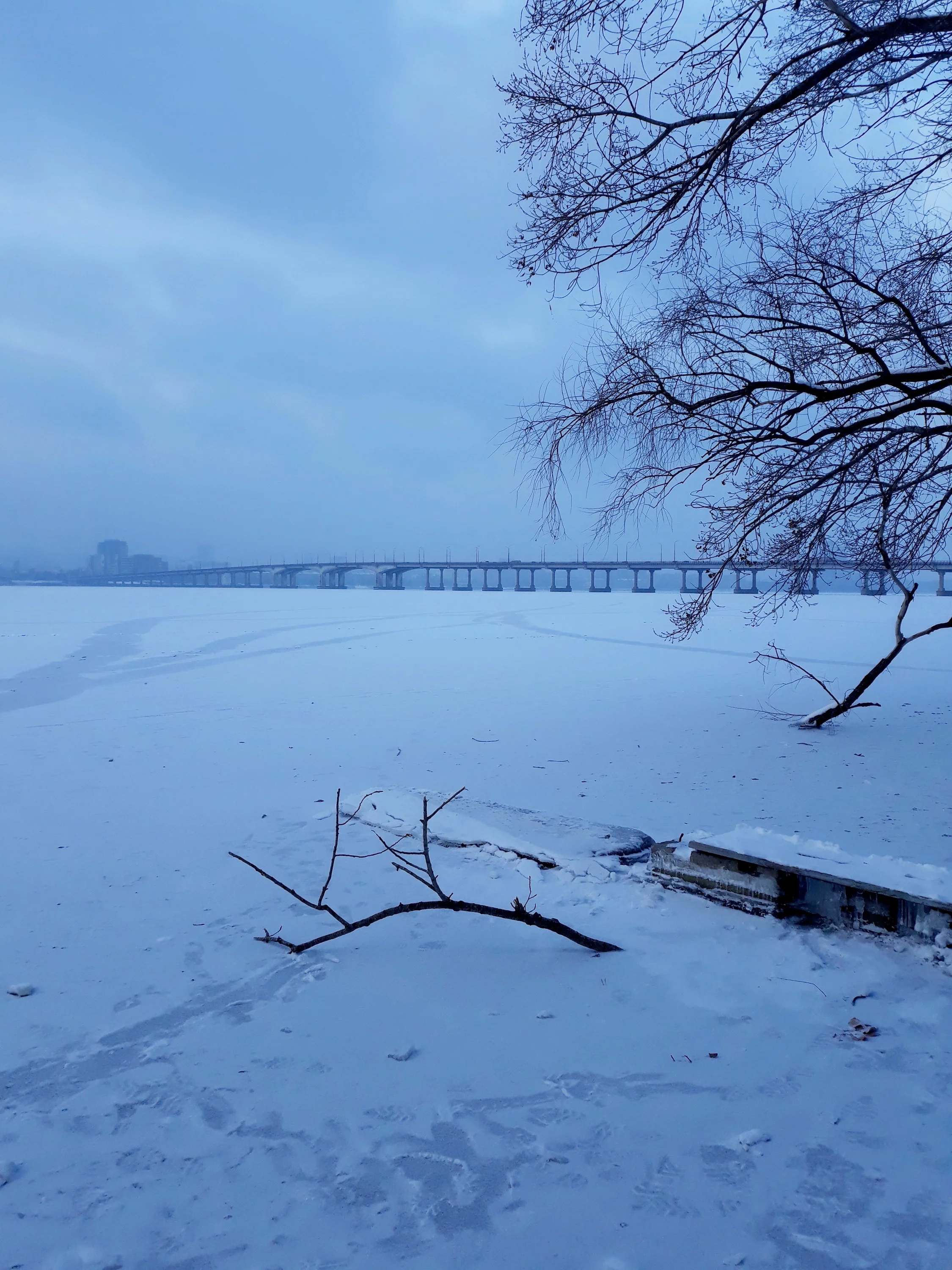 20210119_080959[1] — копия.webp