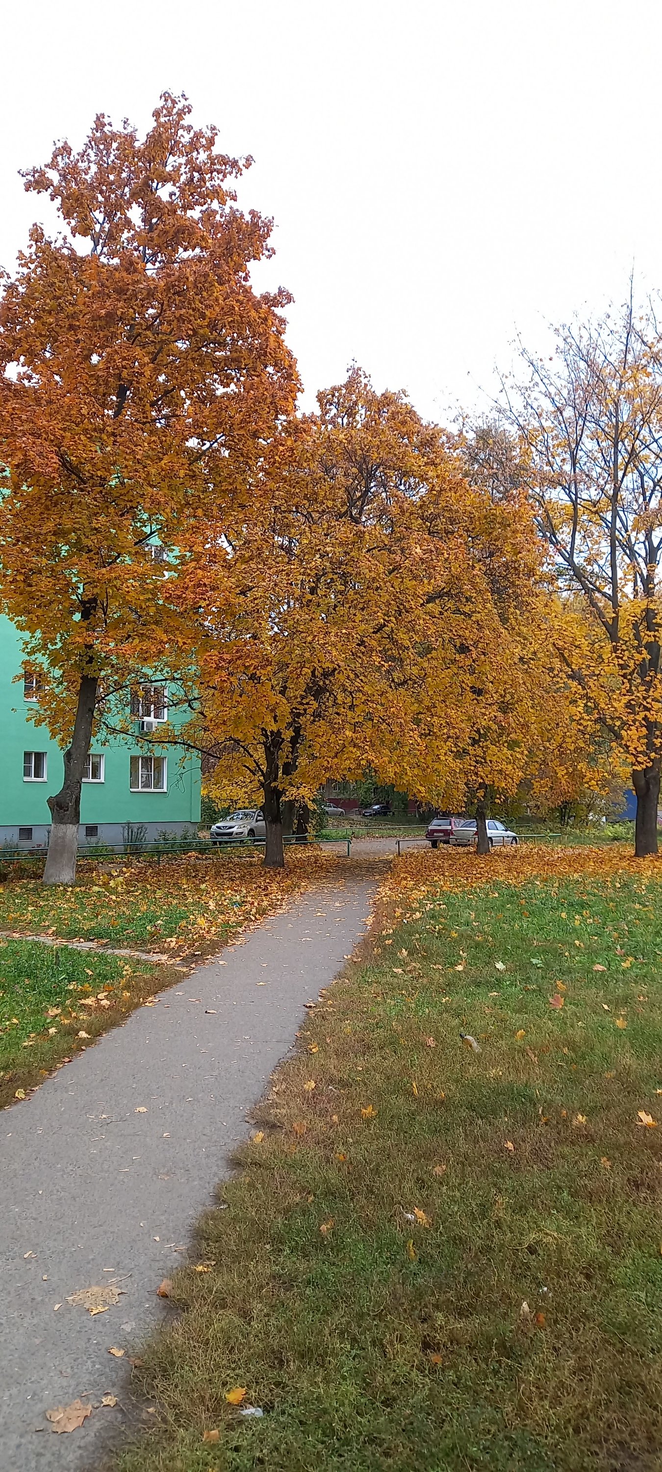 20211016_145248.jpg