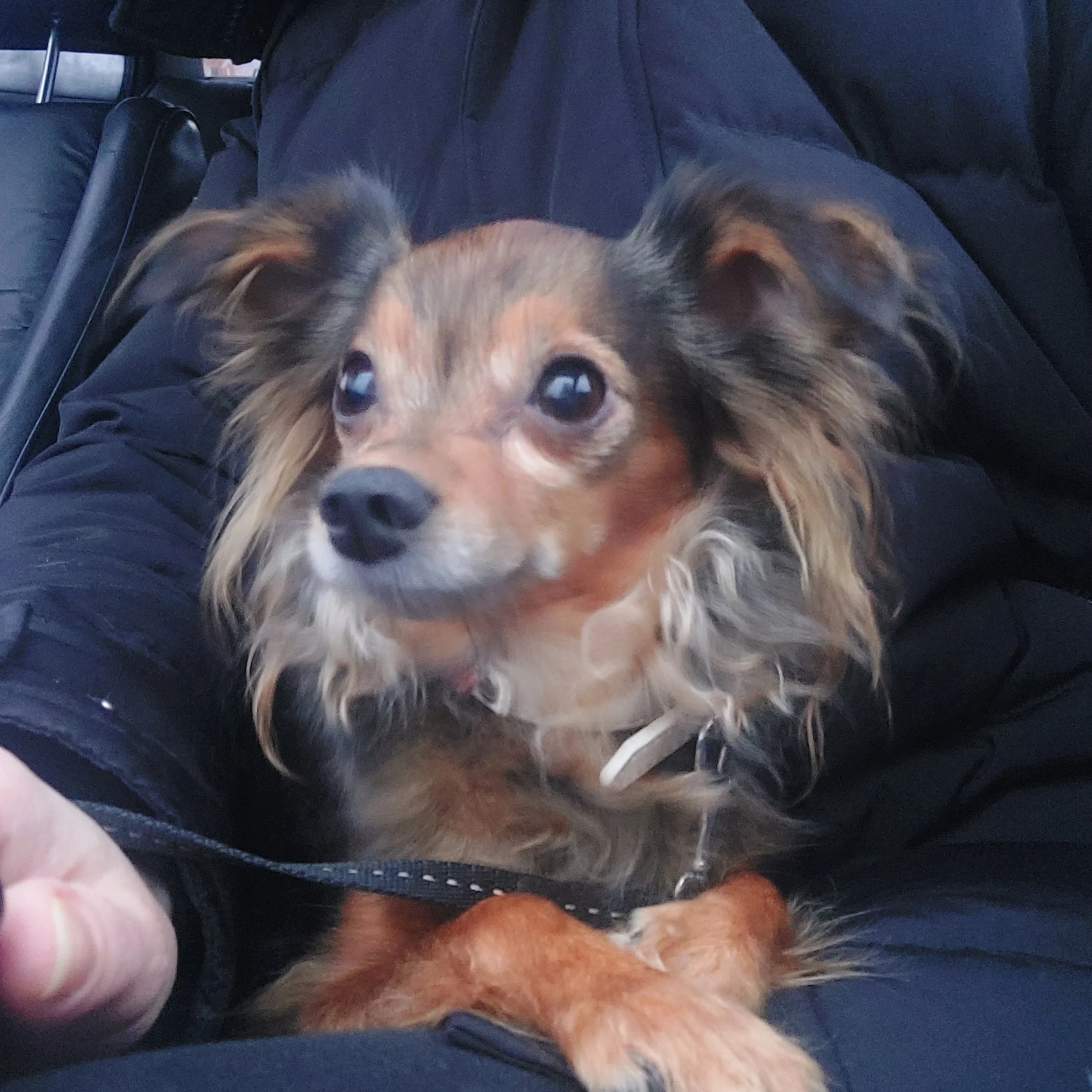 20211214_152556 (1).webp