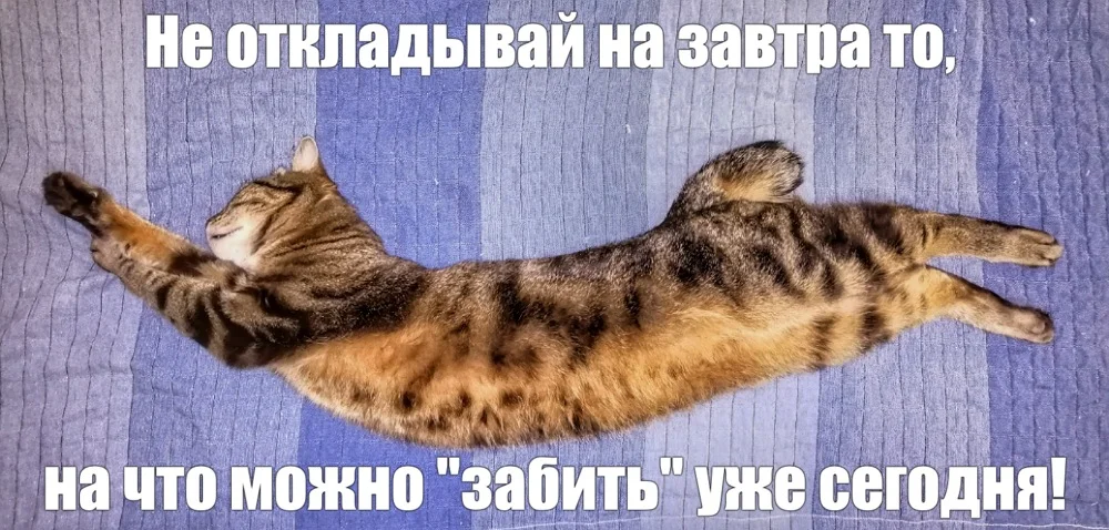 2022-01-21 22-10-43_2.webp