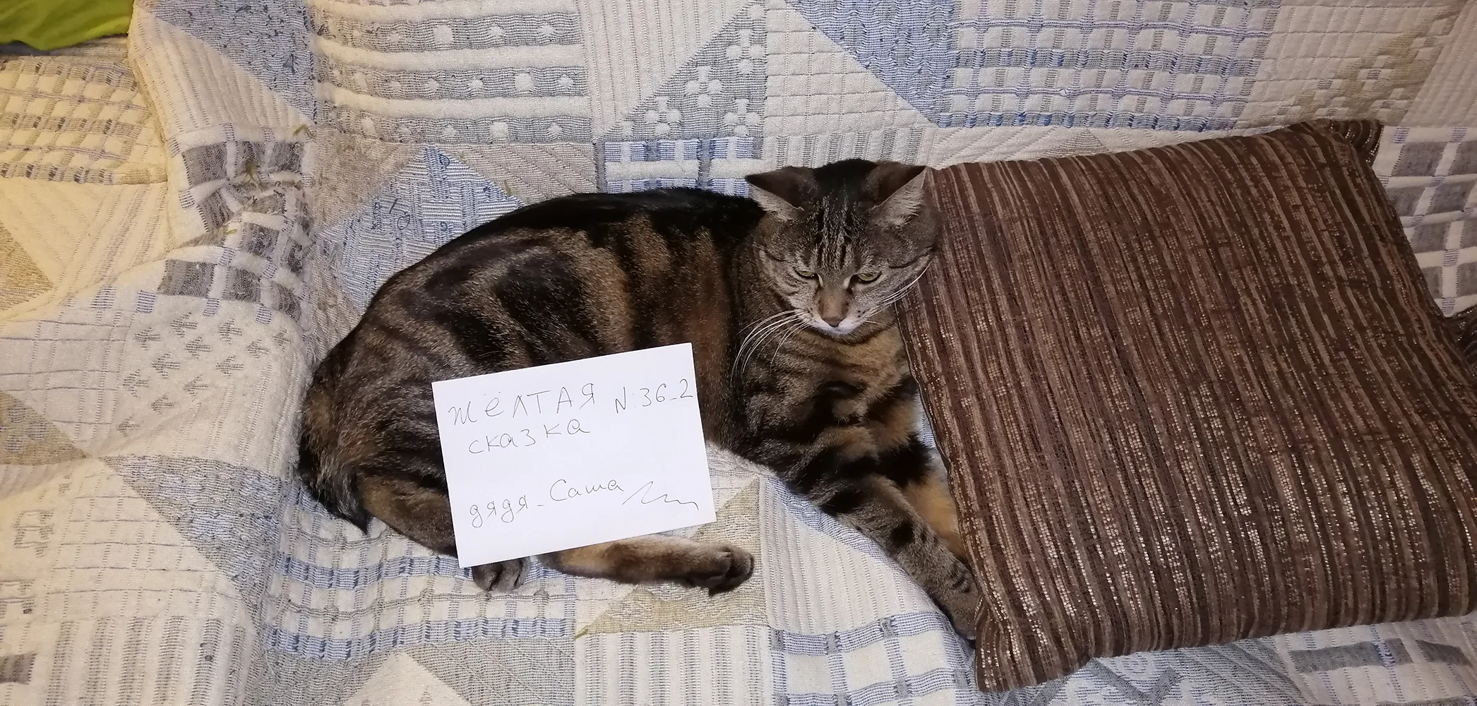 2022-01-31 20-47-49.webp