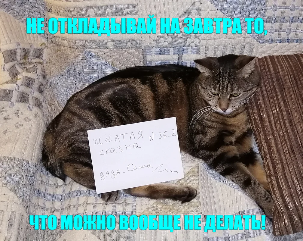 2022-01-31 20-47-49_2.webp