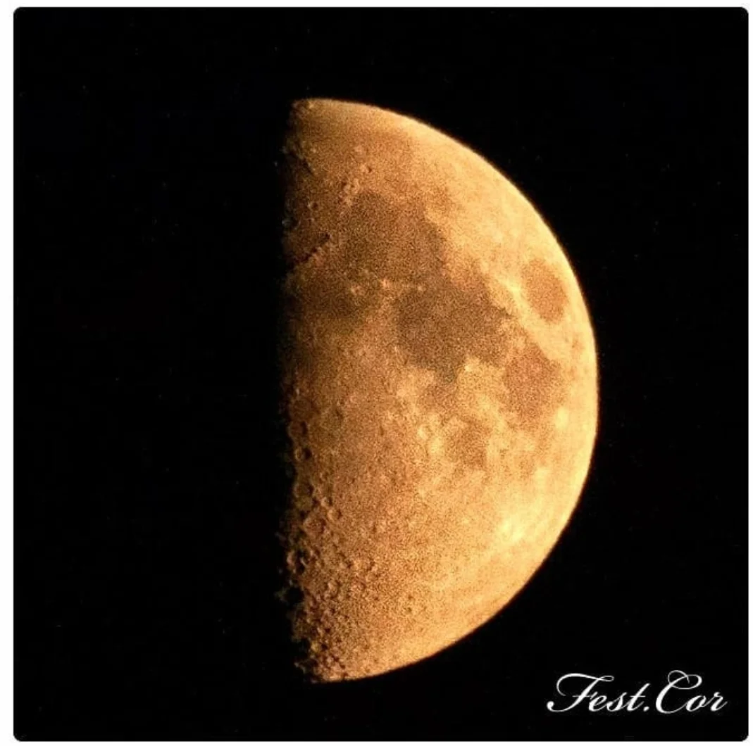 2022-02-11 08-05-30.webp