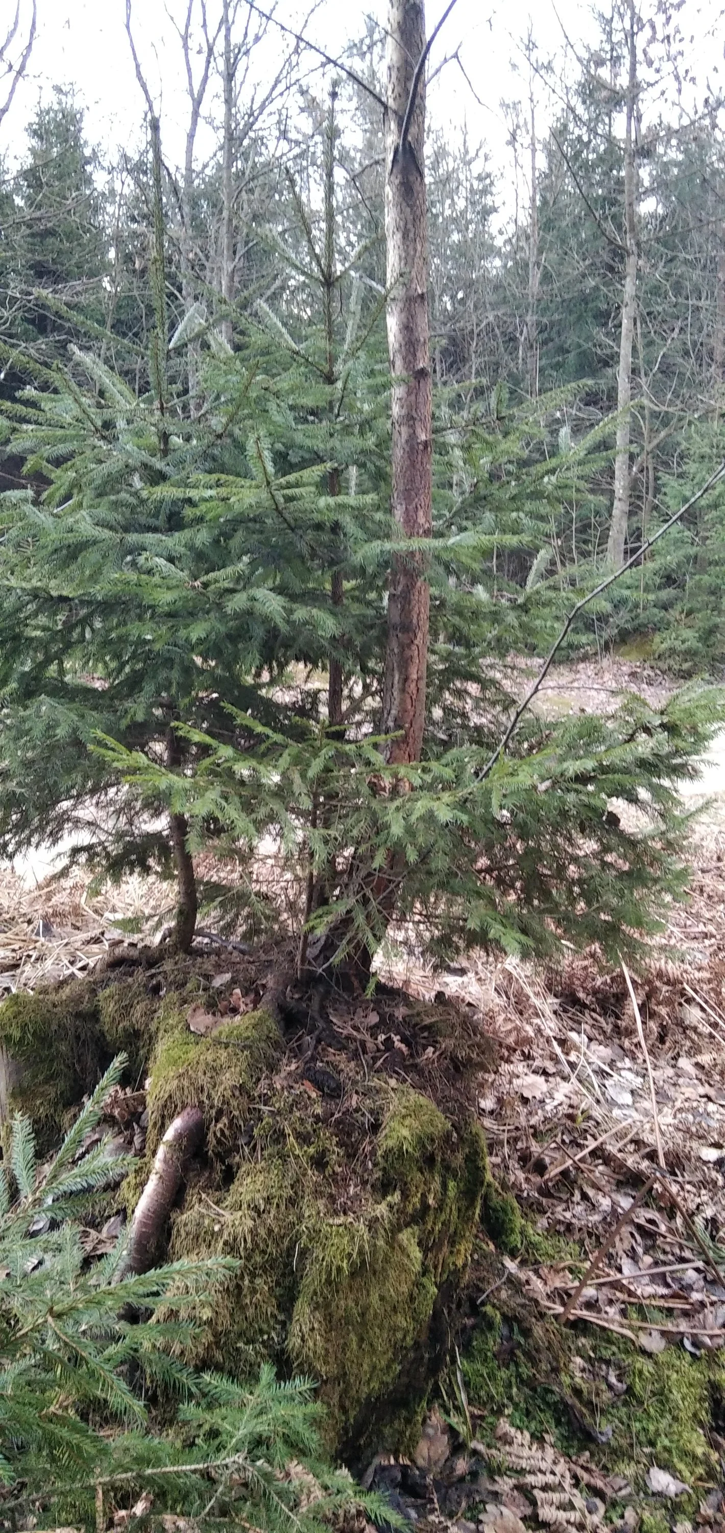 2022-02-26 16-52-19.webp