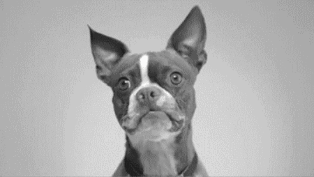 2022-04-08-13-55-32.gif
