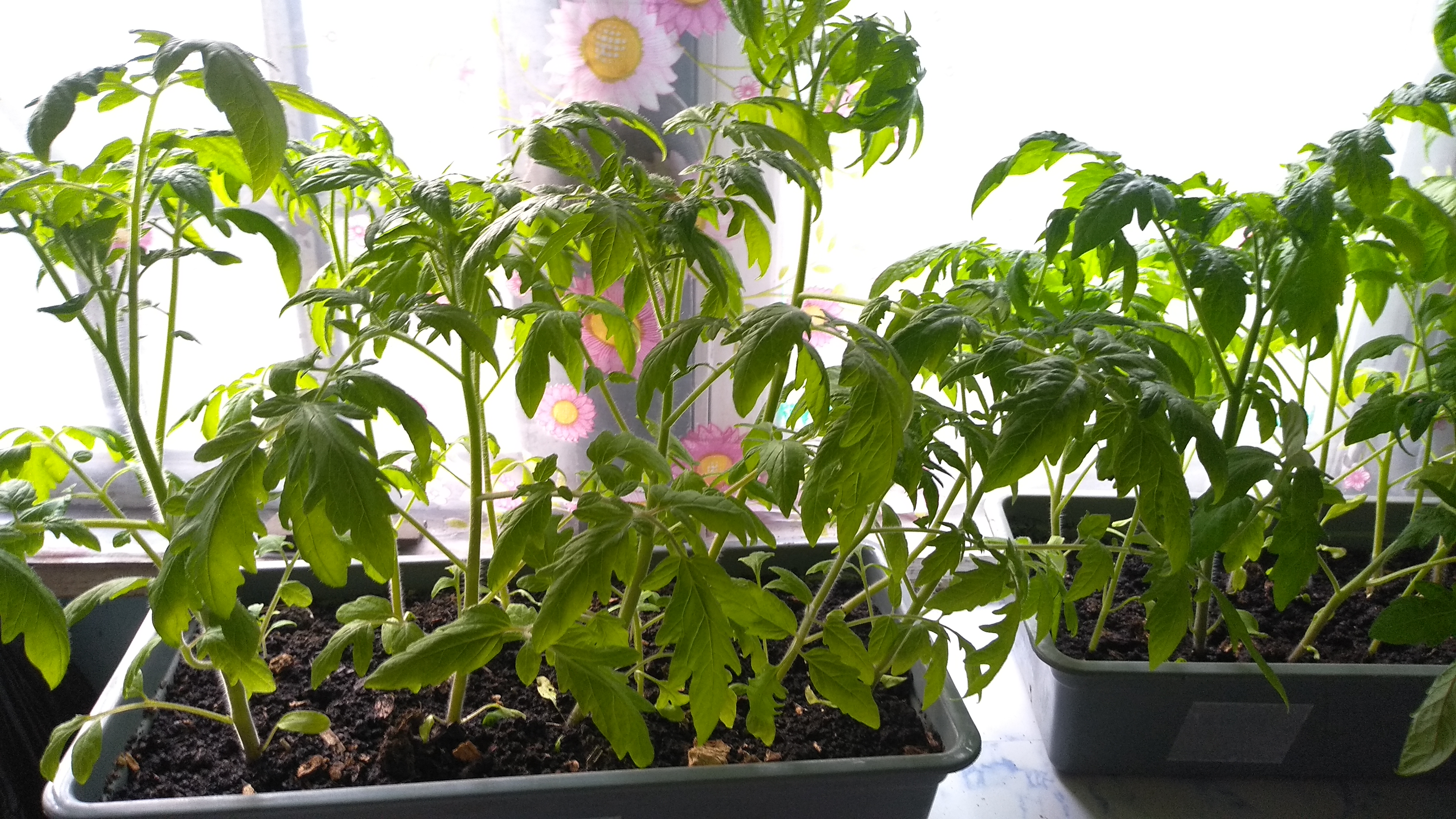 2022-05-03 18-23-39.JPG