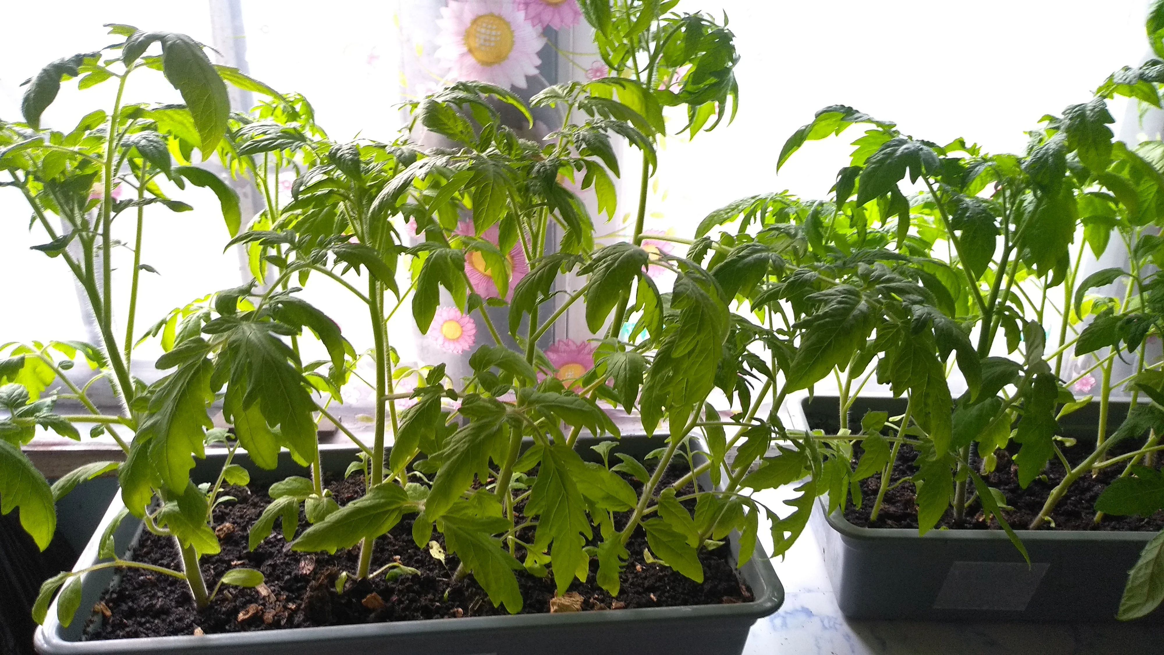 2022-05-03 18-23-39.webp