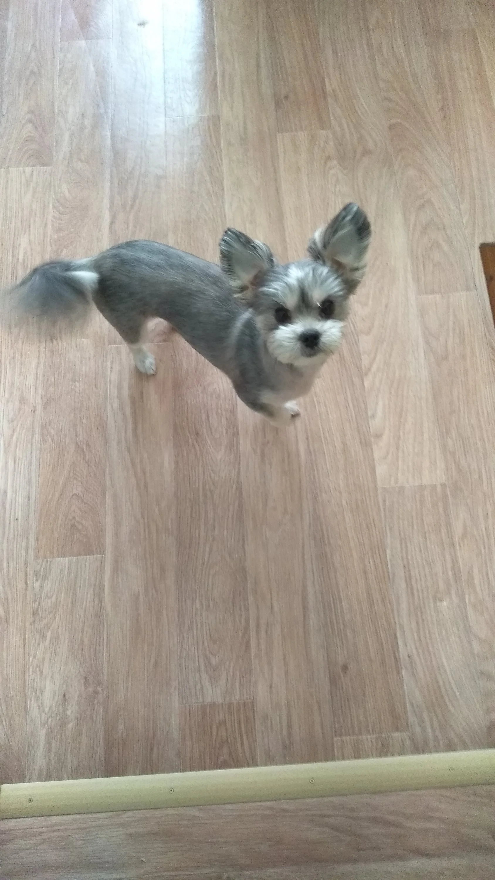 2022-05-04 11-39-01 (1).webp