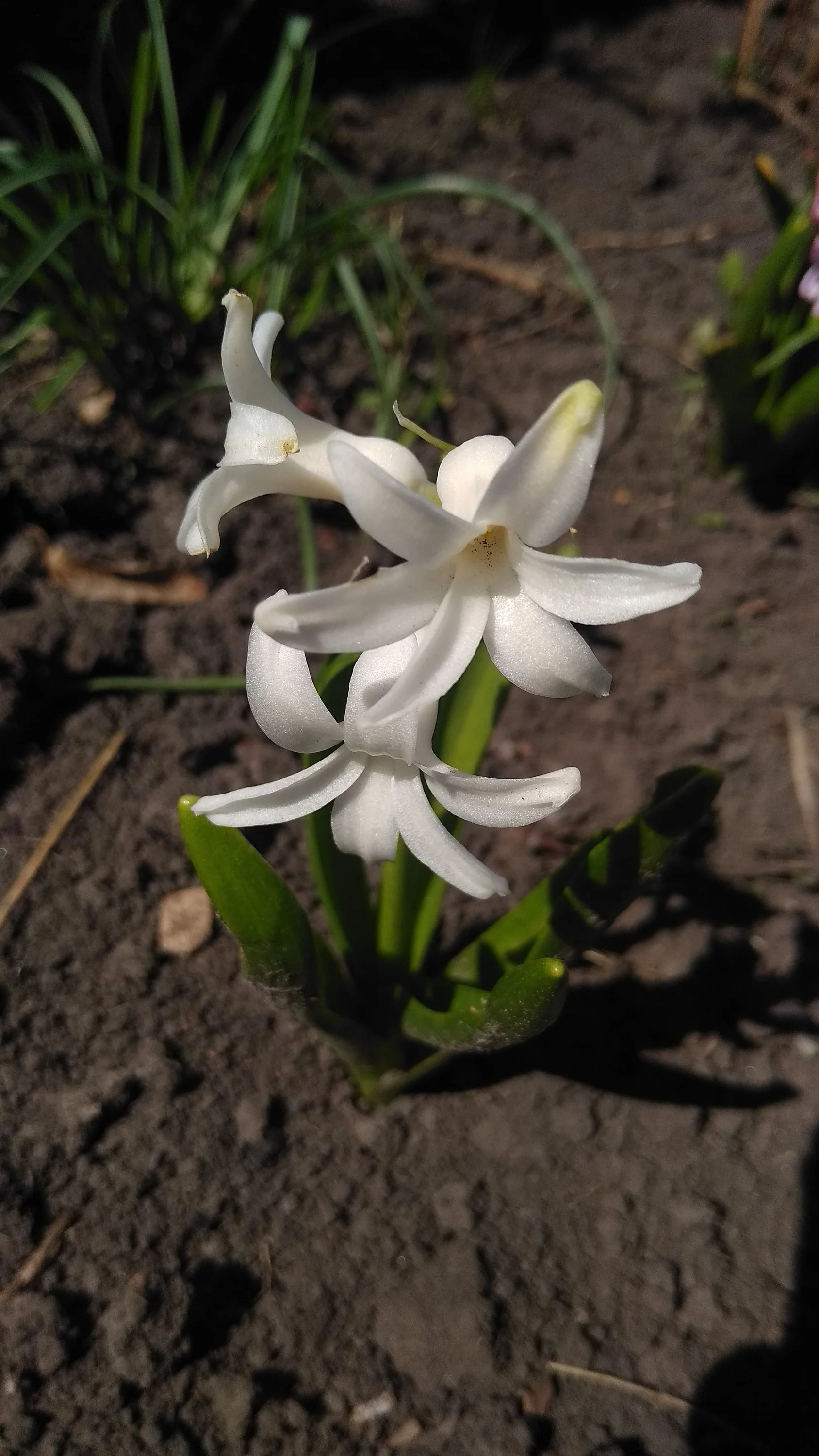 2022-05-05 11-42-47.webp