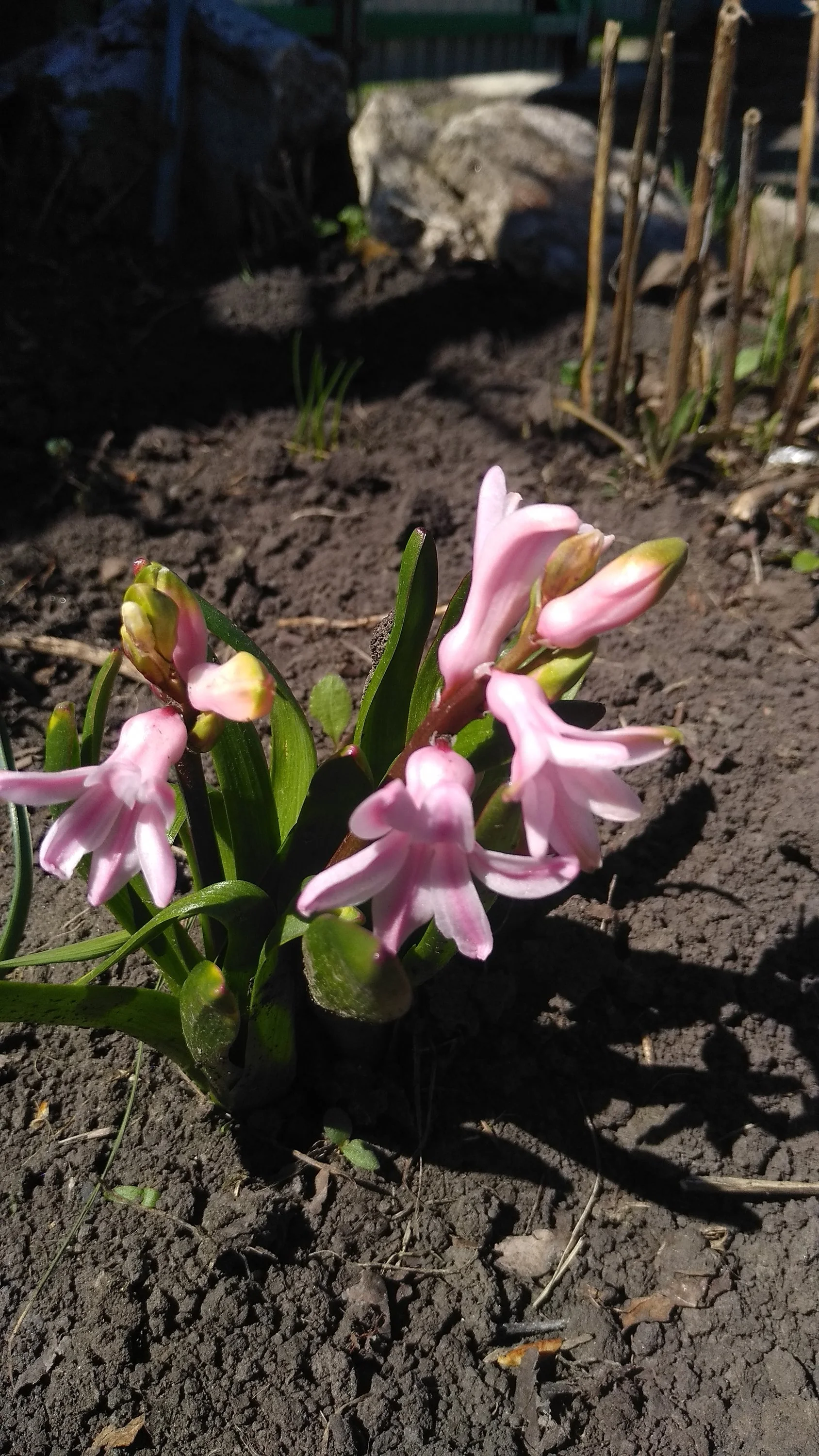 2022-05-05 11-42-51.webp