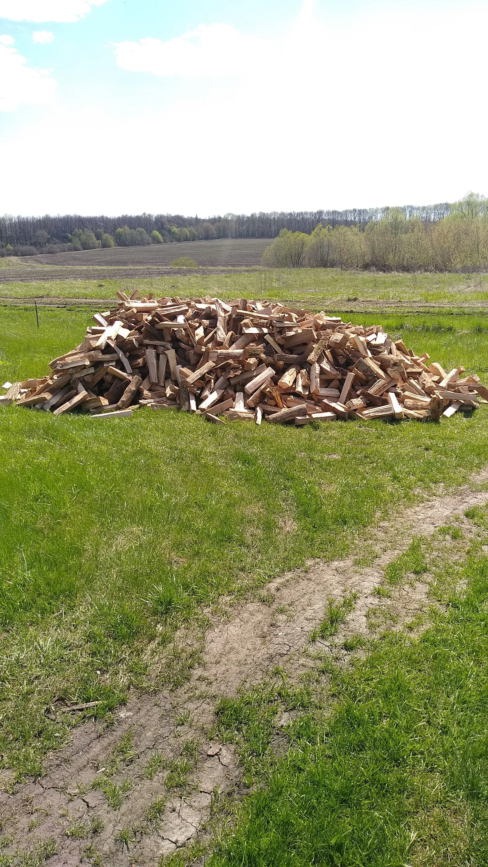 2022-05-06 13-46-36.webp