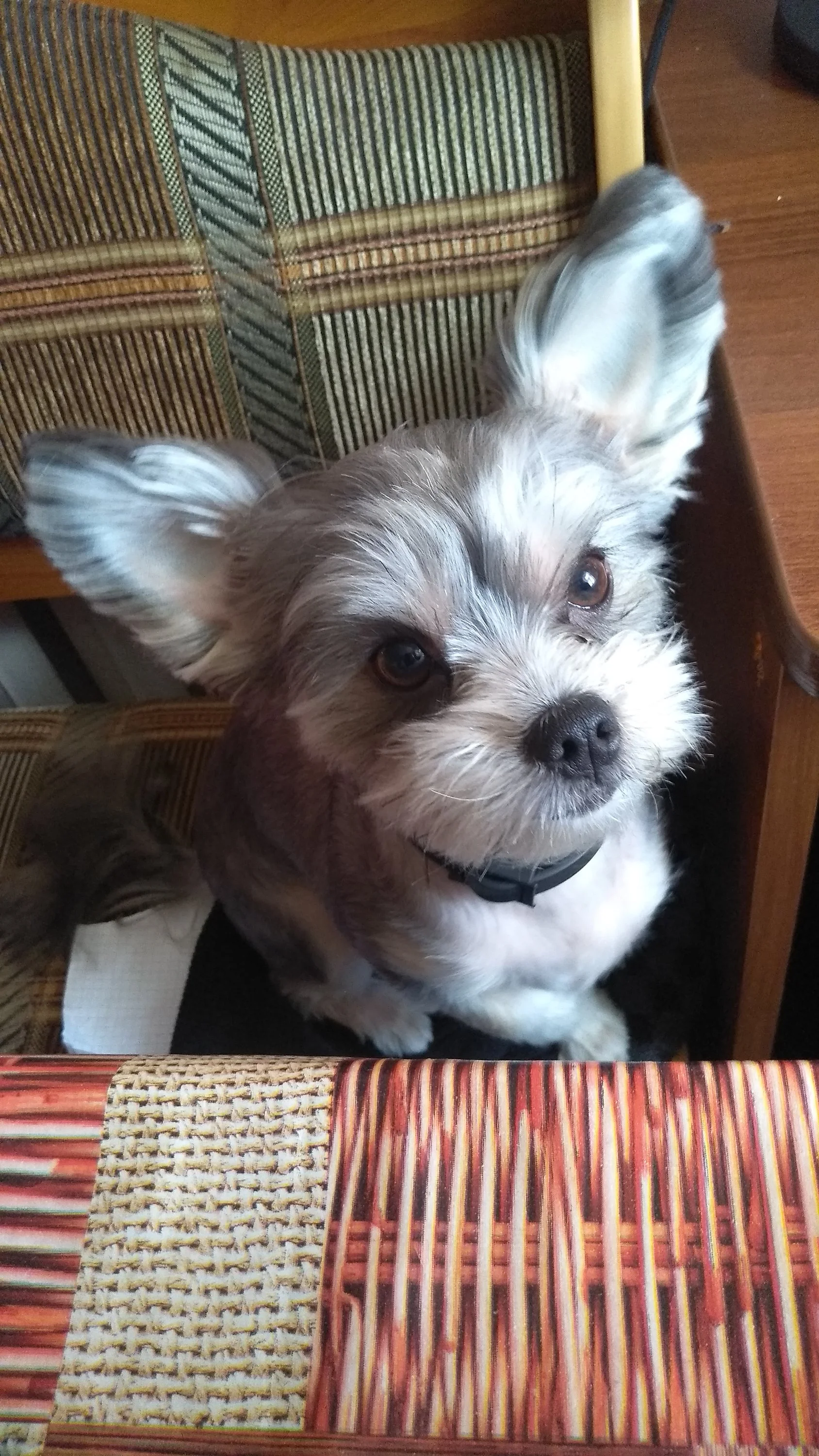 2022-05-09 17-54-01.webp