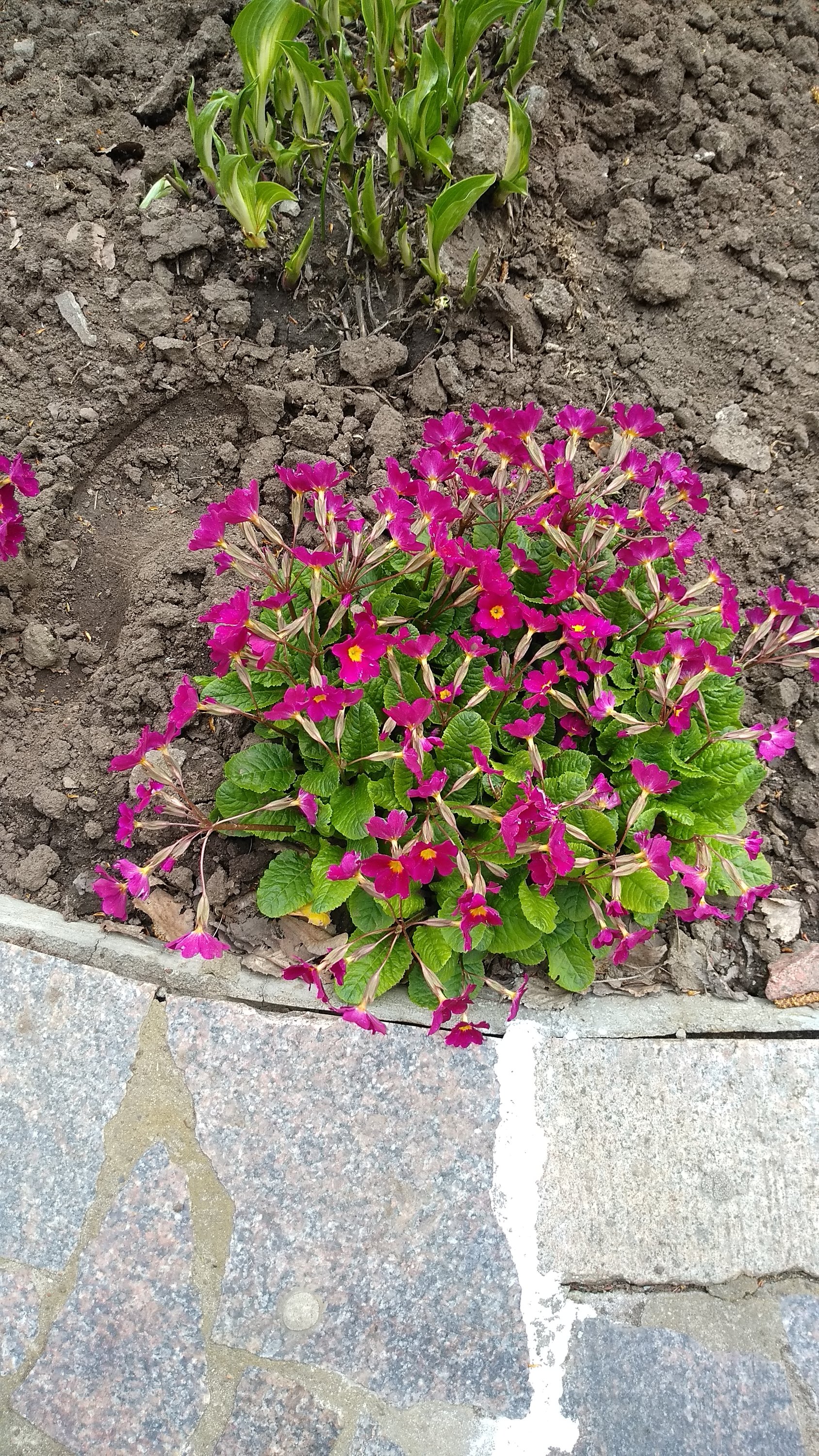 2022-05-11 11-01-20.JPG