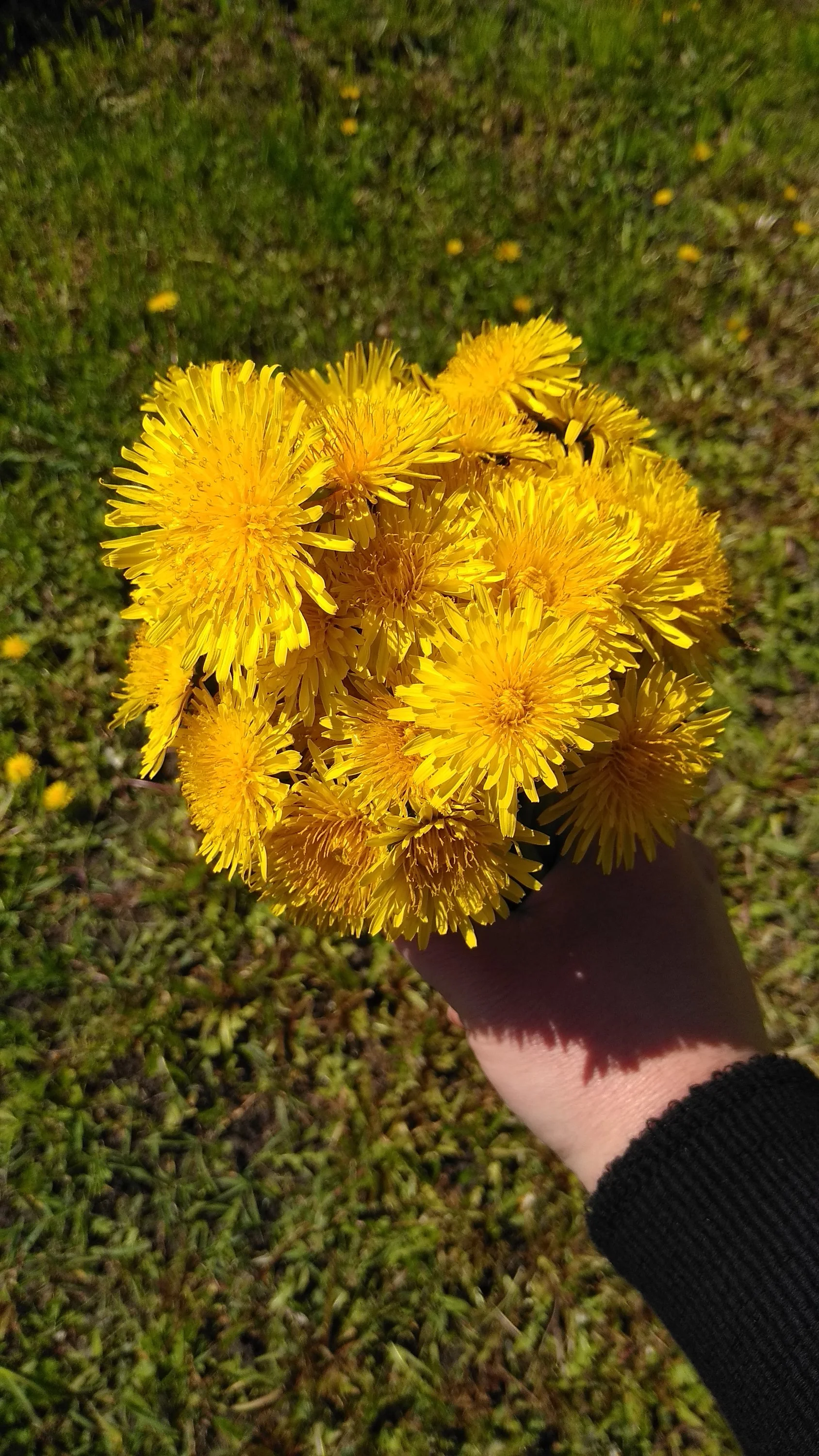 2022-05-20 12-10-01.webp