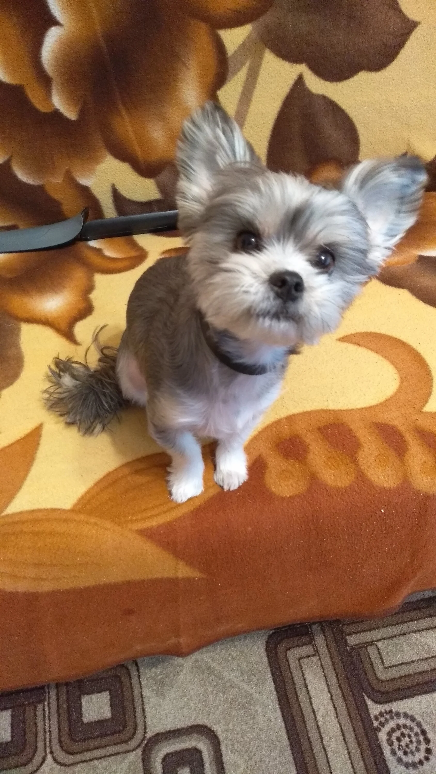 2022-05-24 15-00-41.webp