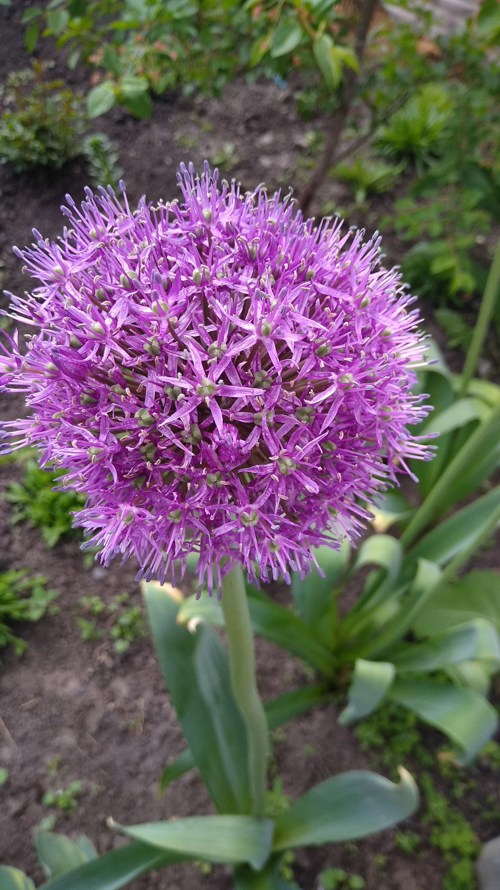 2022-06-01 11-46-08.webp